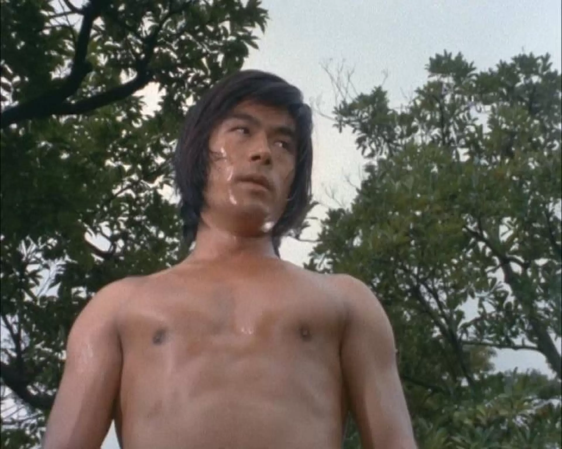دانلود سریال Fight! Dragon 1974