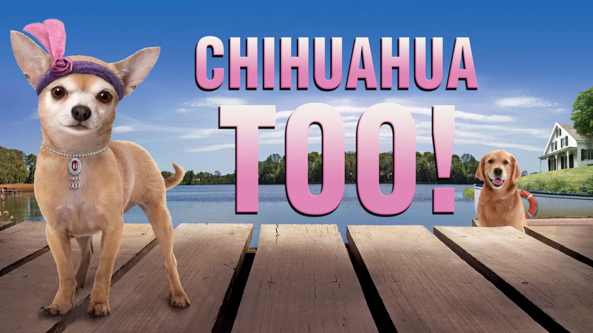دانلود فیلم Chihuahua Too! 2013 (چیواوا)