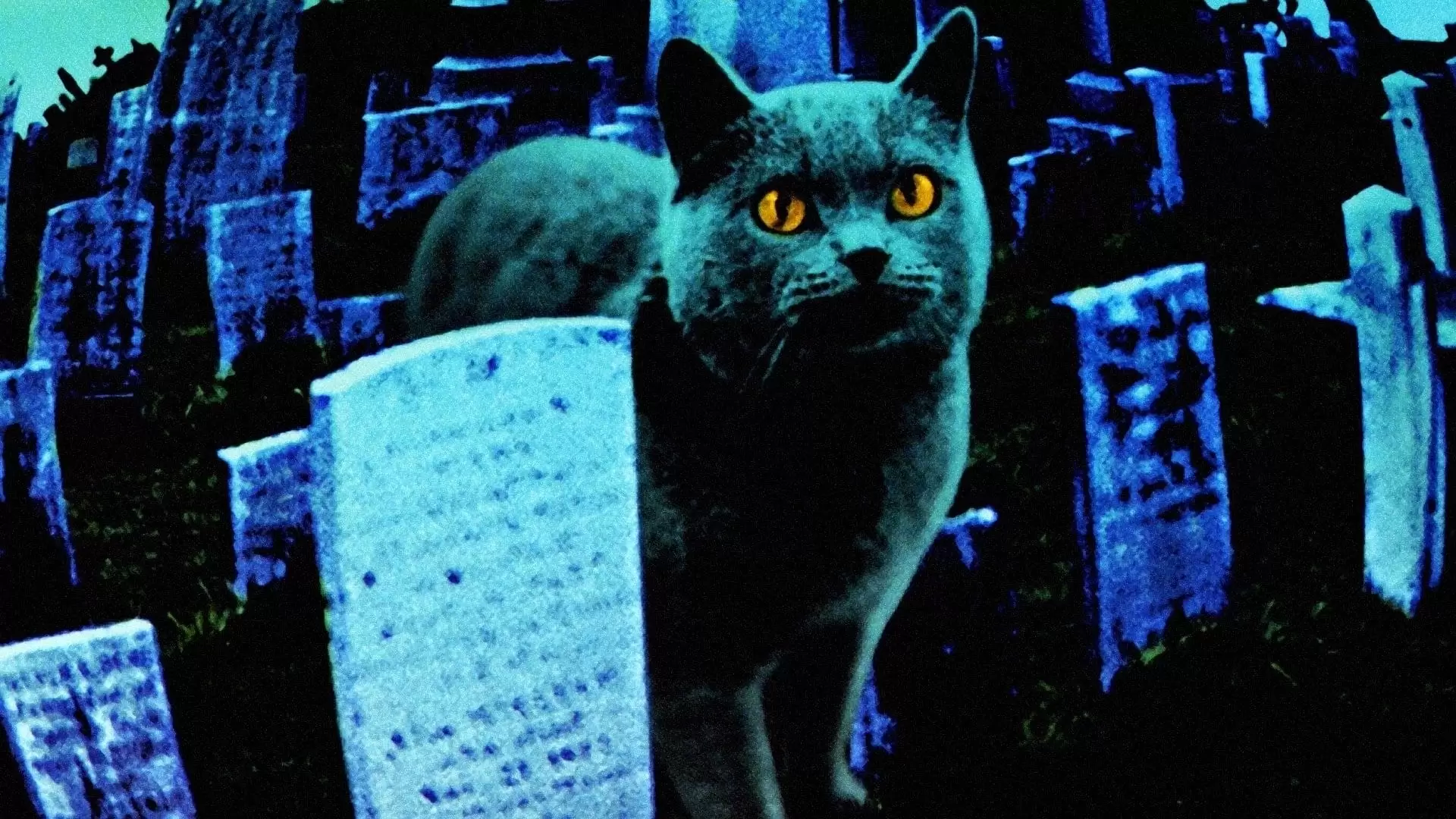 دانلود فیلم Pet Sematary 1989 با زیرنویس فارسی و تماشای آنلاین
