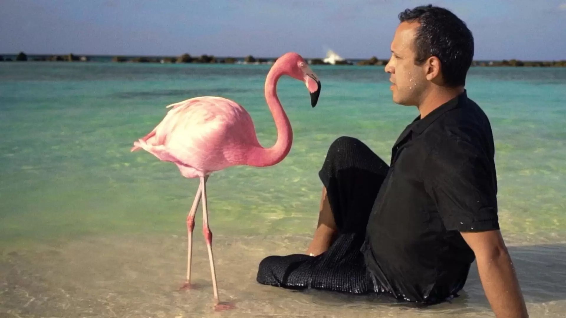 دانلود مستند The Mystery of the Pink Flamingo 2020