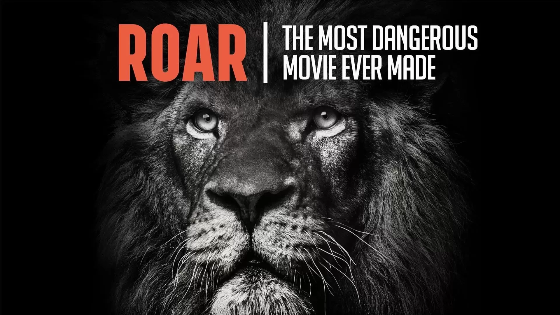 دانلود مستند Roar: The Most Dangerous Movie Ever Made 2017 (غرش: خطرناک ترین فیلمی که تاکنون ساخته شده است)