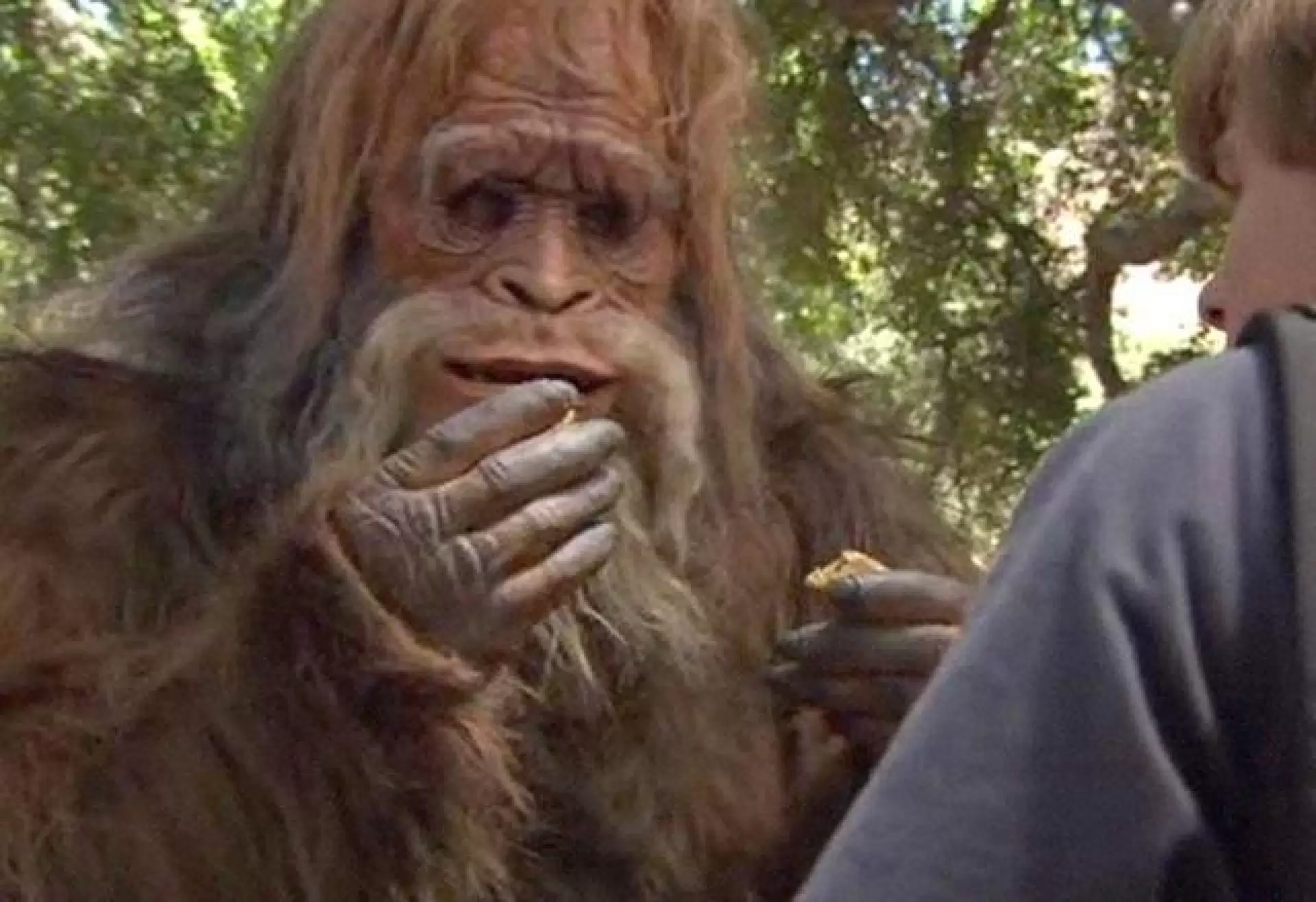 دانلود فیلم Bigfoot 2009 (پاگنده)