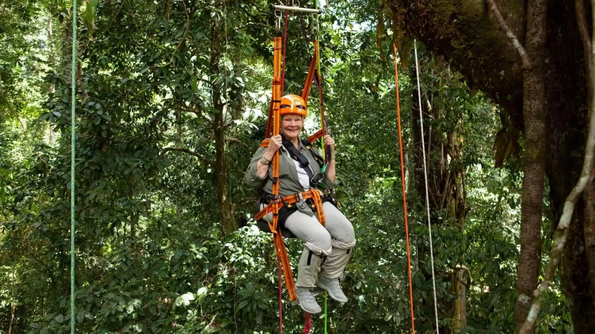 دانلود مستند Judi Dench’s Wild Borneo Adventure 2019 (ماجراجویی جودی دنچ در حیات وحش برونئو)