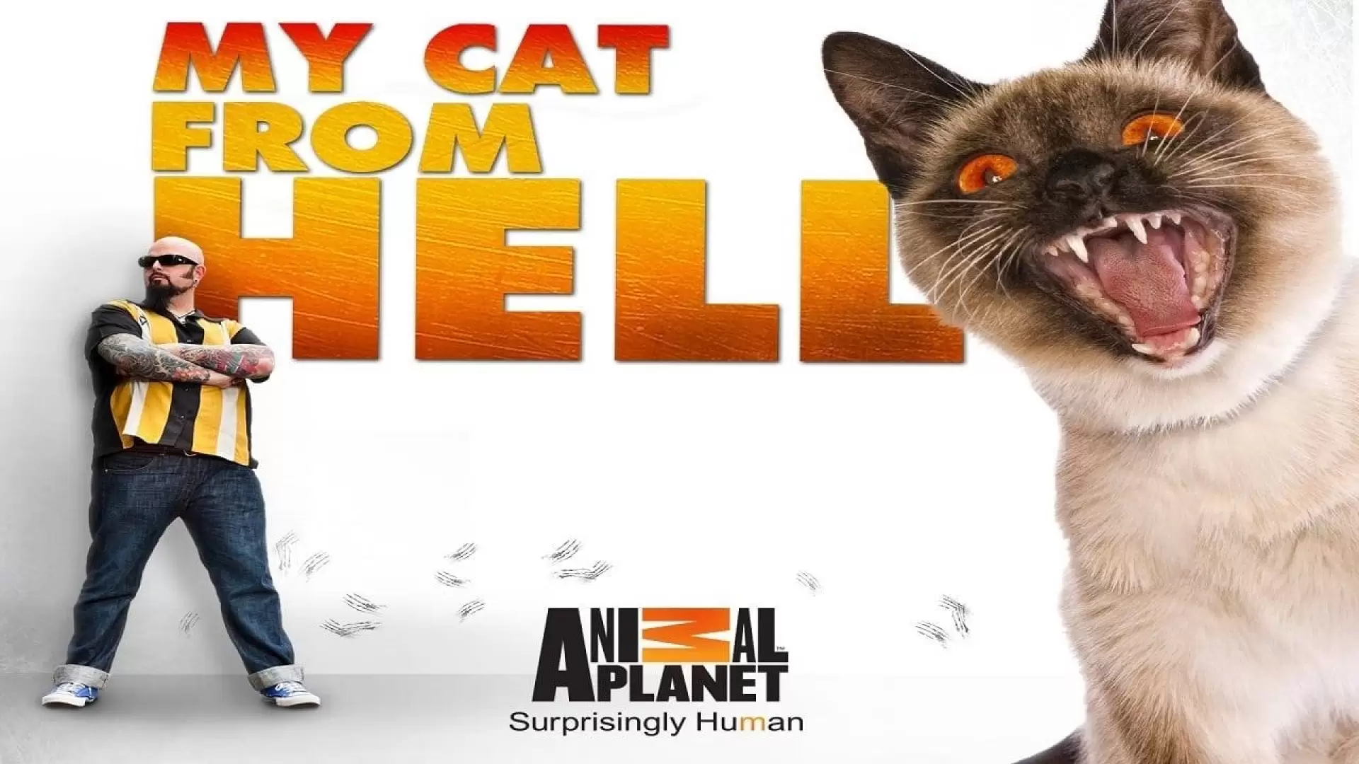 دانلود سریال My Cat from Hell 2011 (گربه جهنمی من)