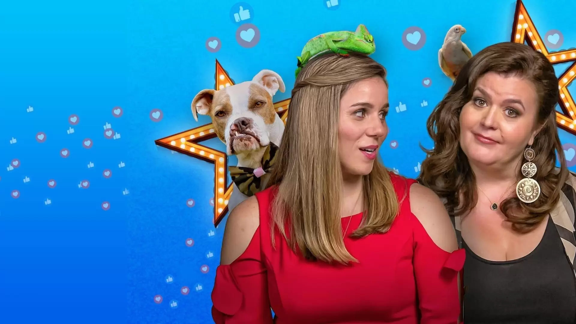 دانلود سریال Pet Stars 2021 (ستاره های حیوانات خانگی)
