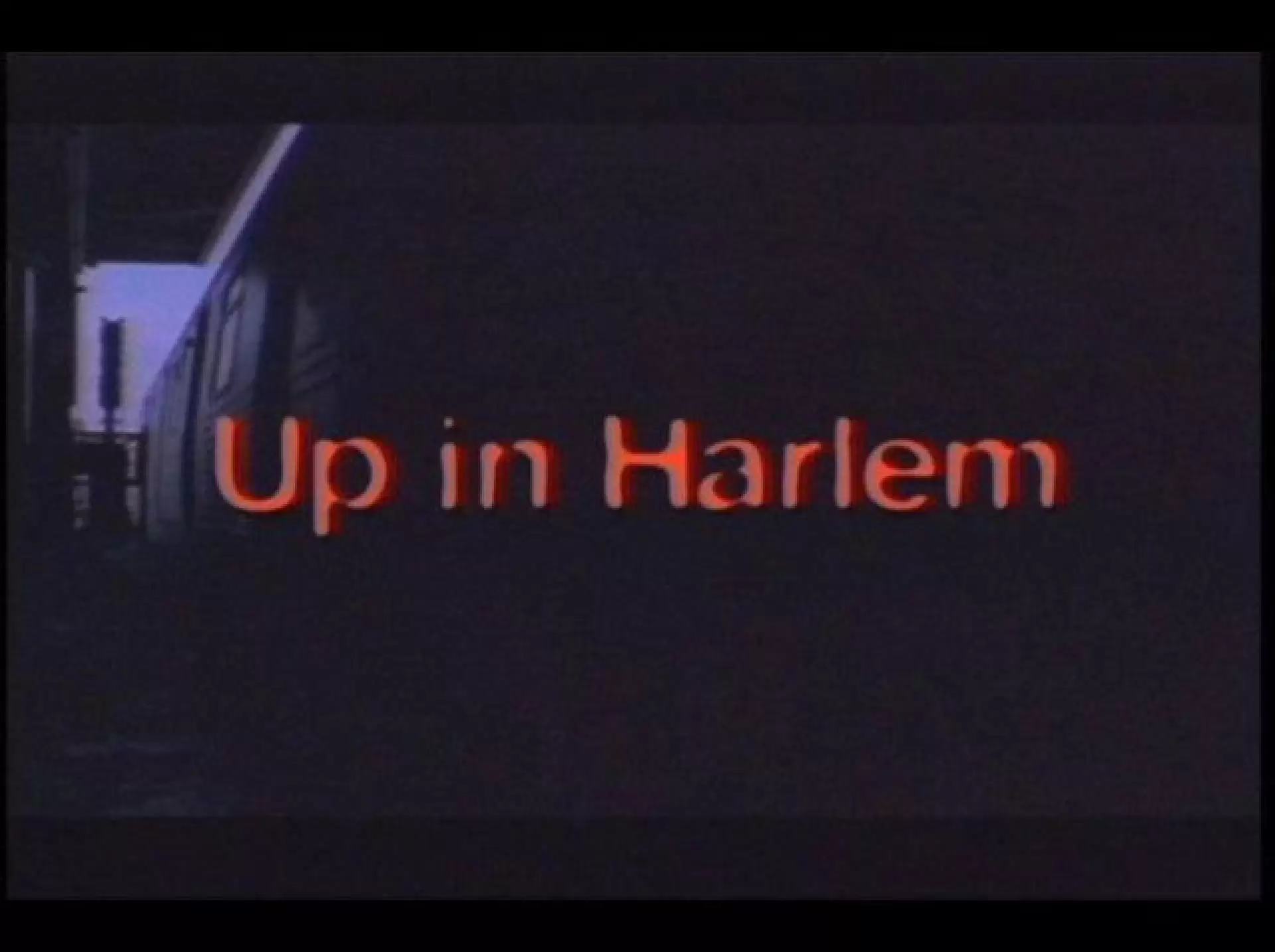 دانلود فیلم Up in Harlem 2004 (برفراز هارلم)