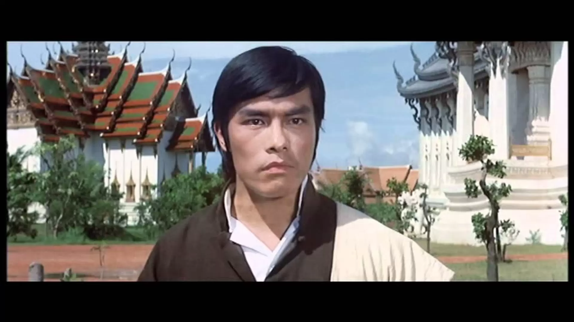 دانلود فیلم The Skyhawk 1974 (شاهین آسمانی)