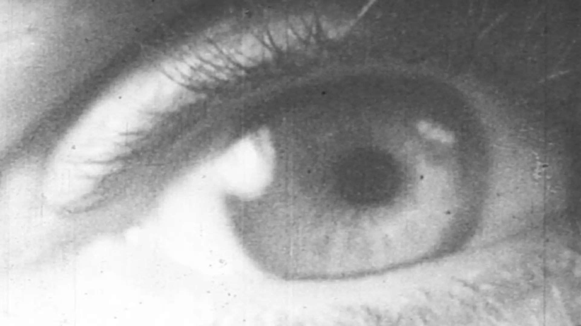 دانلود فیلم Geography of the Body 1943