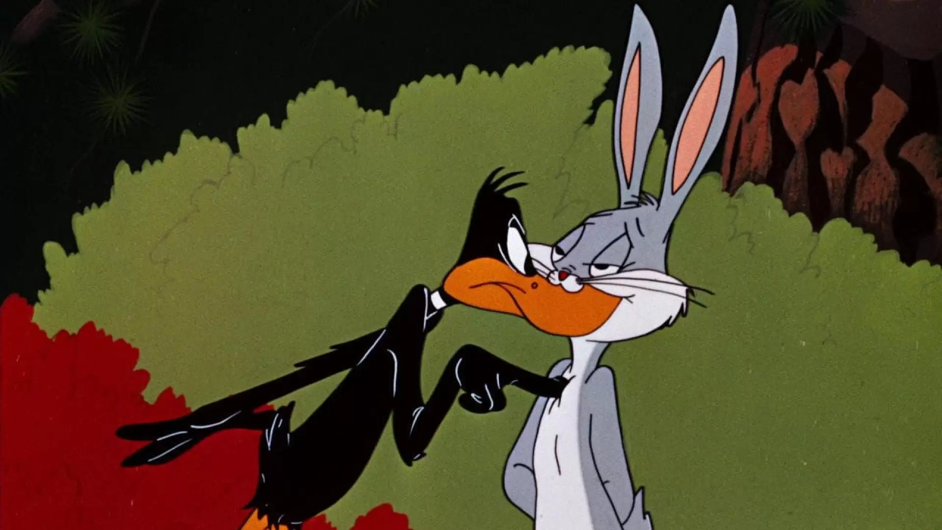 دانلود انیمیشن Rabbit Seasoning 1952