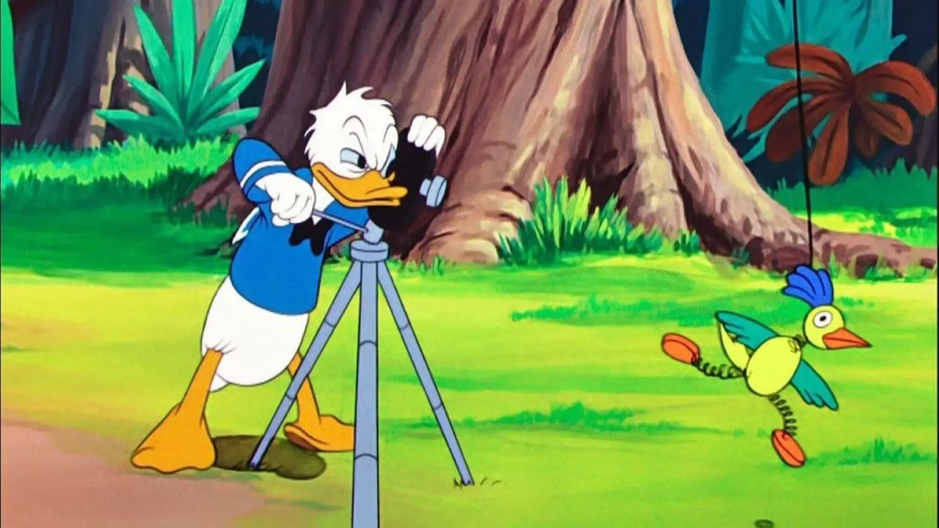 دانلود انیمیشن Clown of the Jungle 1947