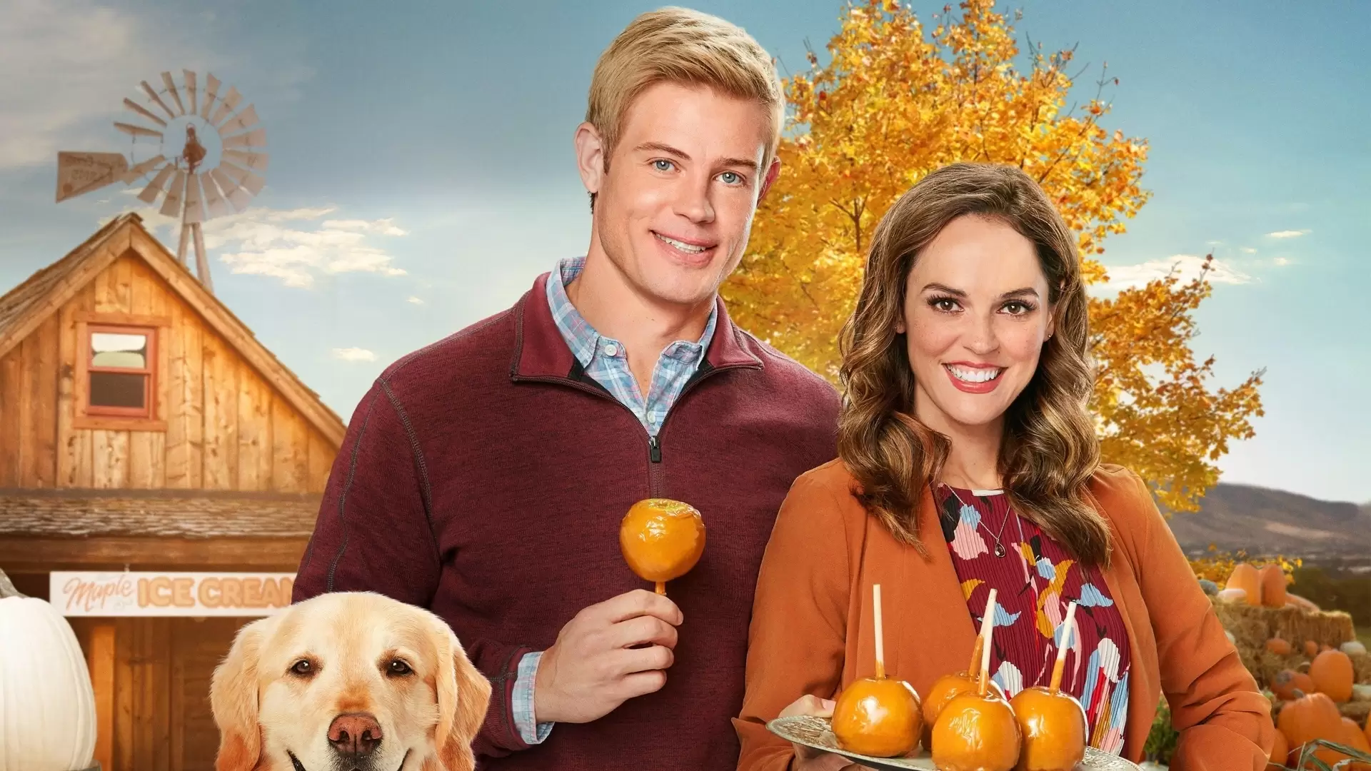 دانلود فیلم Love, Fall & Order 2019