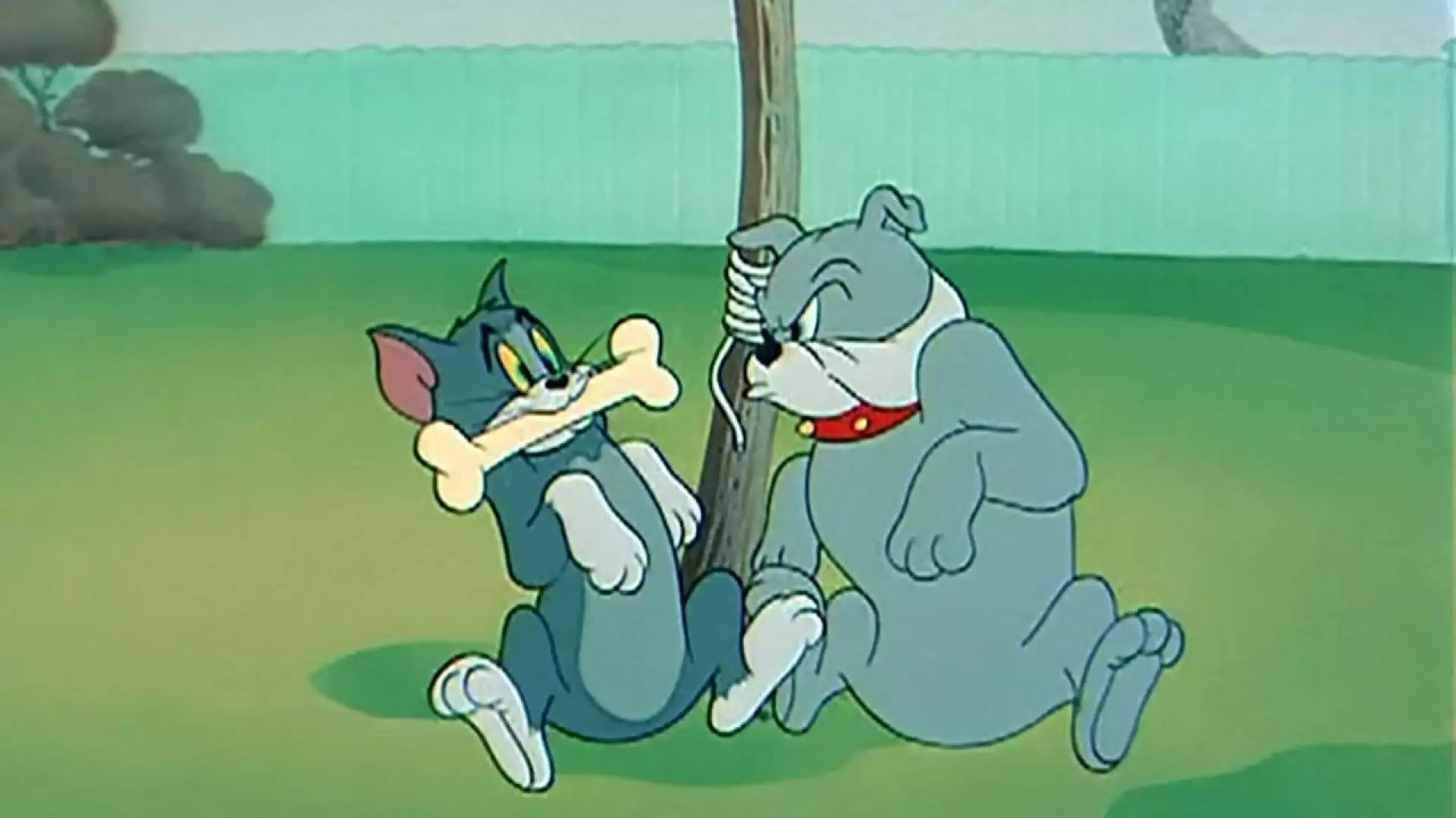 دانلود انیمیشن The Framed Cat 1950
