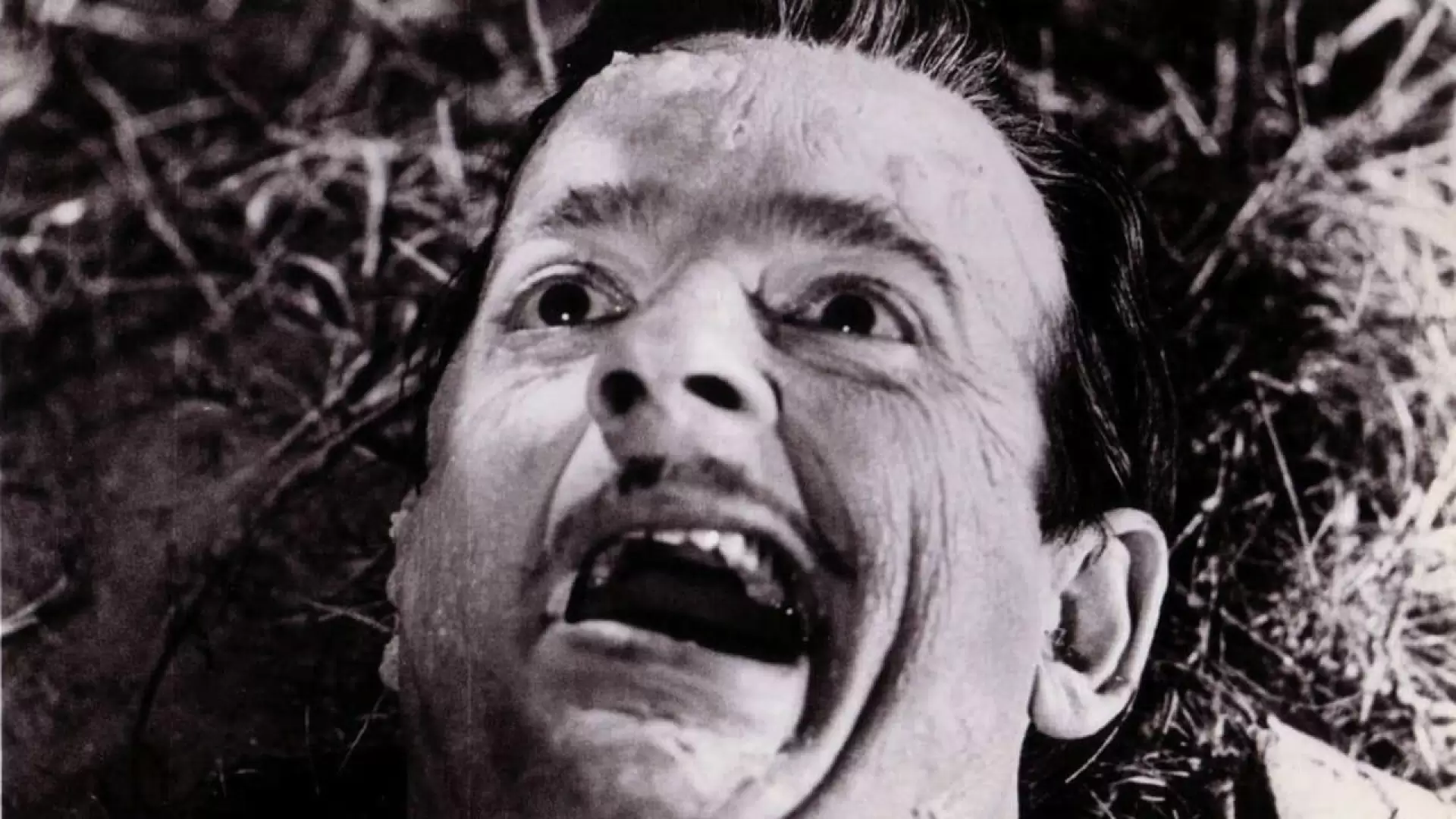 دانلود فیلم Monster a Go-Go 1965 (هیولا برو)