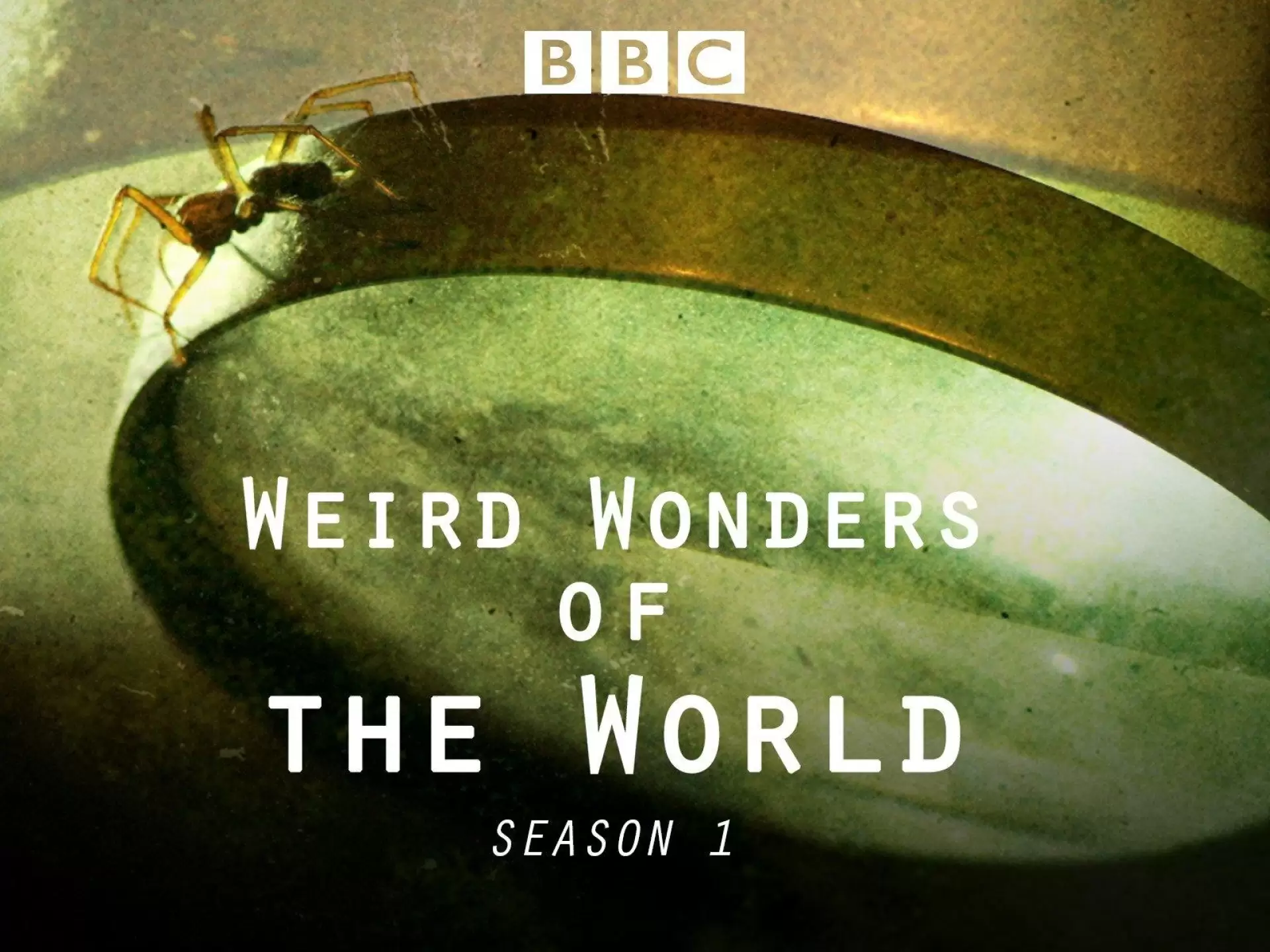 دانلود مستند Weird Wonders of the World 2015