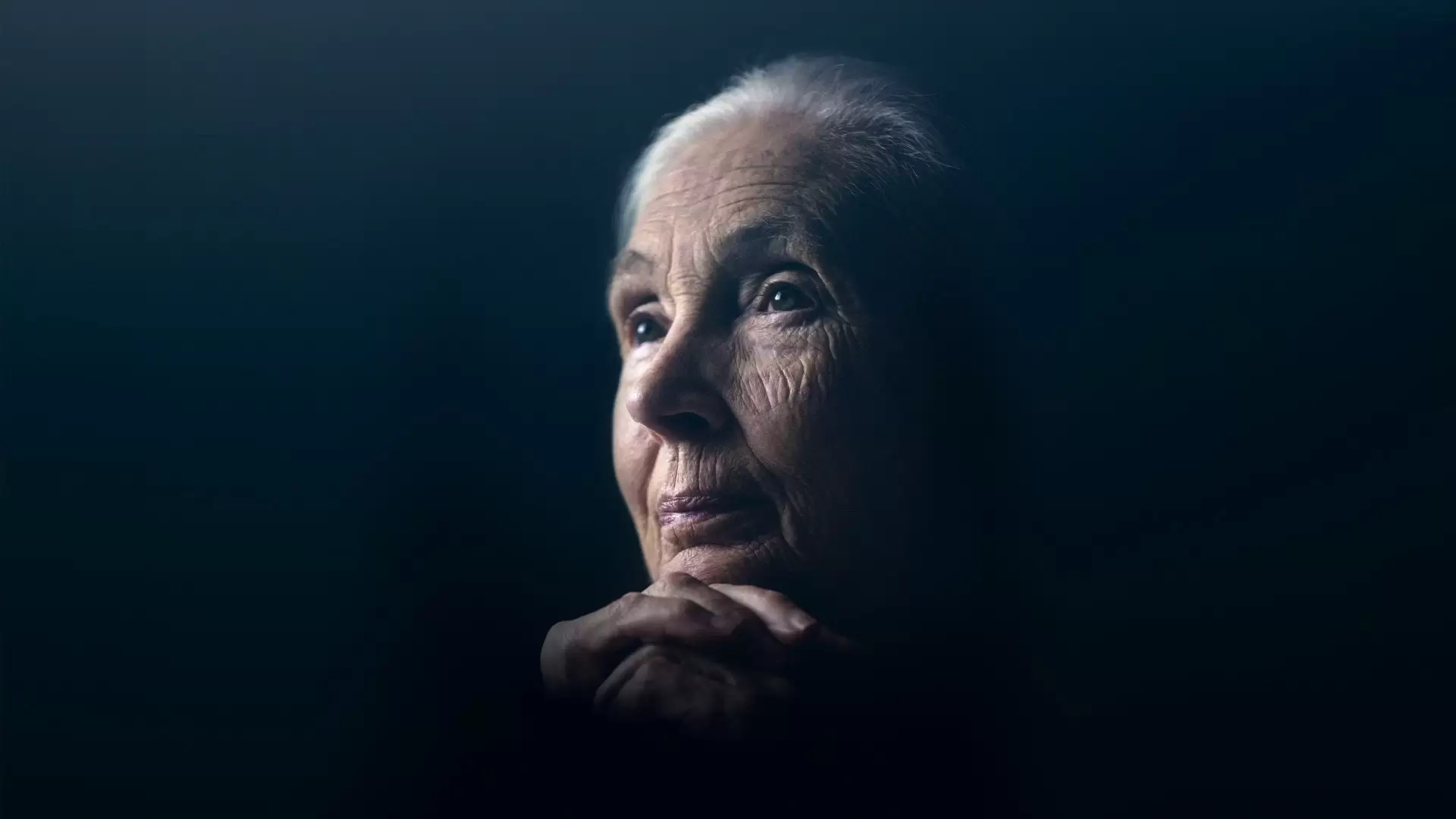 دانلود مستند Jane Goodall: The Hope 2020 (جین گودال: امید)