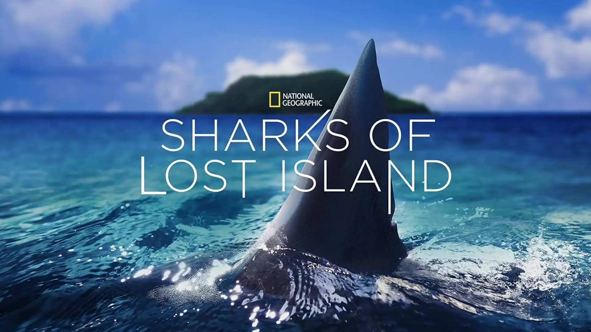 دانلود مستند Sharks of Lost Island 2013 (کوسه های جزیره گمشده)