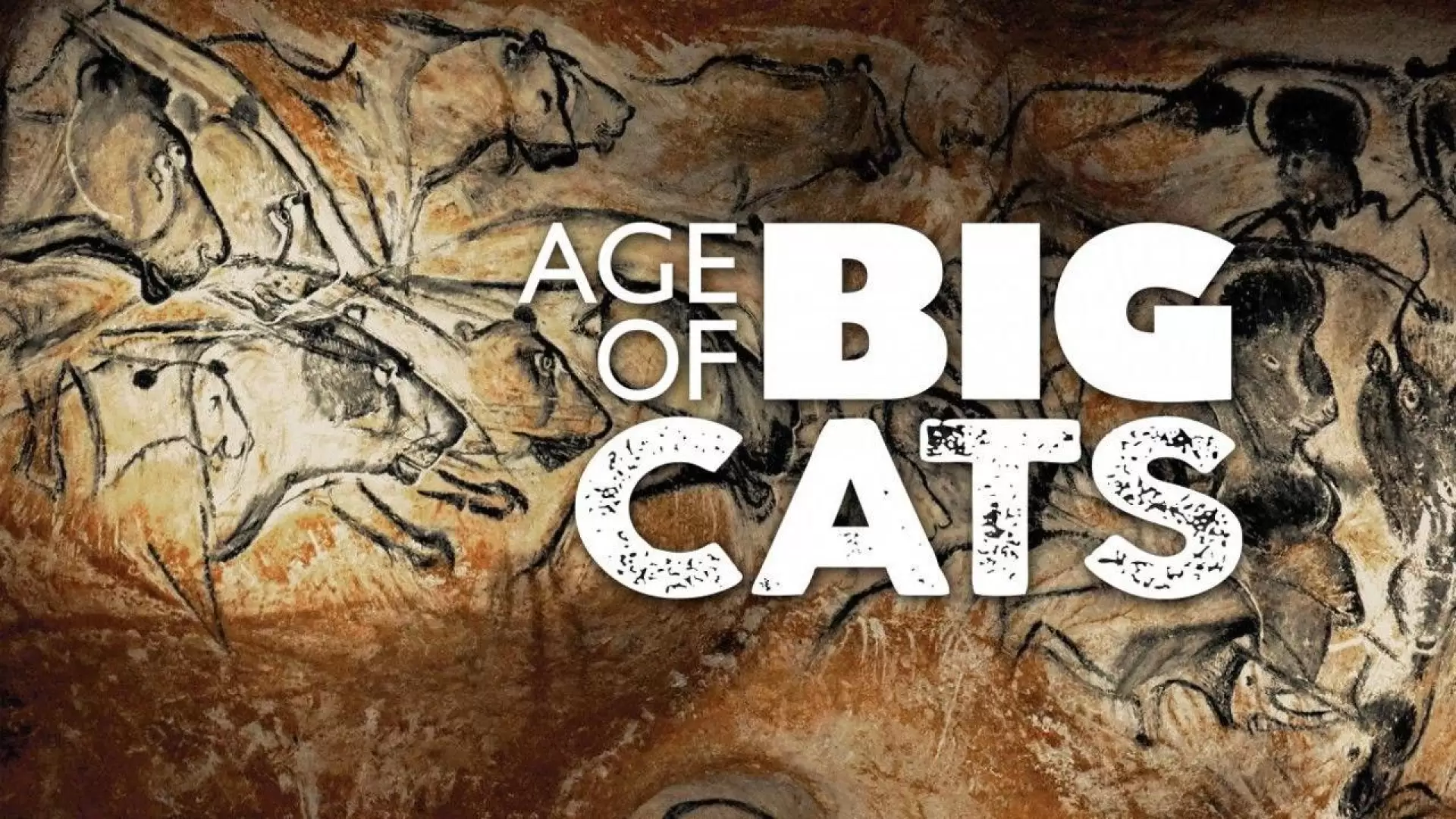 دانلود مستند Age of Big Cats 2018 (عصر گربه سانان بزرگ)
