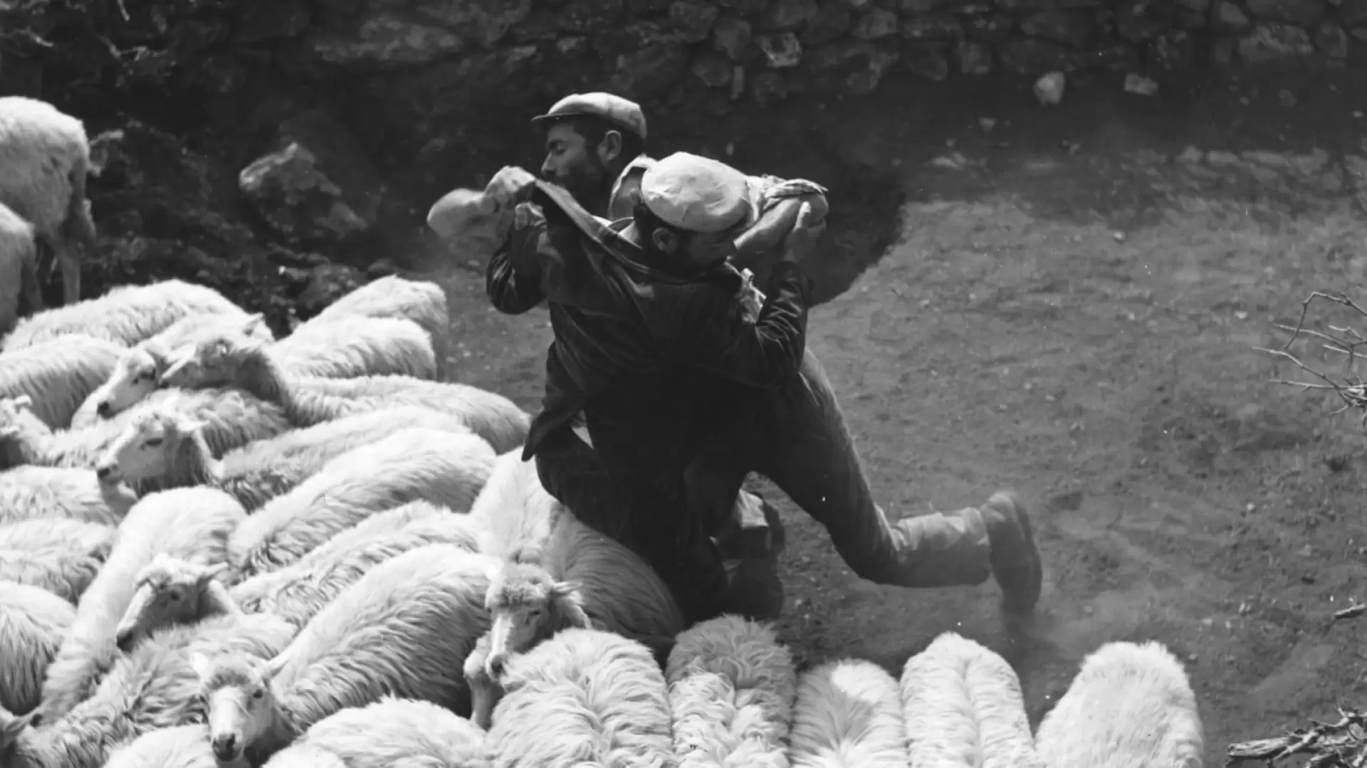 دانلود فیلم Bandits of Orgosolo 1961 (راهزنان در اورگوسولو)