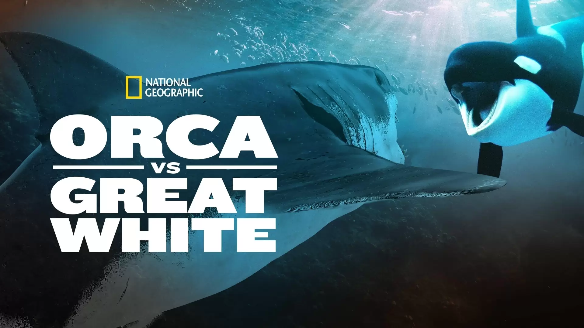 دانلود مستند Orca vs. Great White 2021