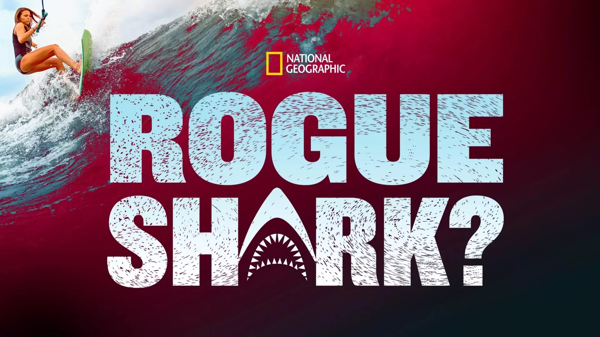 دانلود مستند Rogue Shark? 2021 (کوسه سرکش؟)