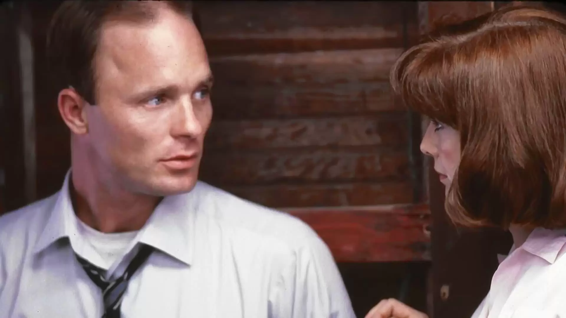 دانلود فیلم A Flash of Green 1984