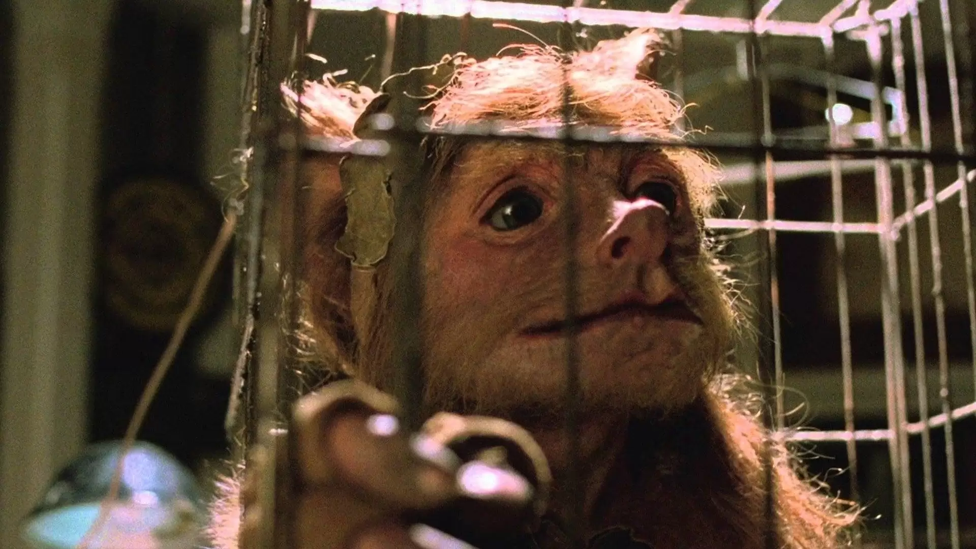 دانلود فیلم A Gnome Named Gnorm 1990
