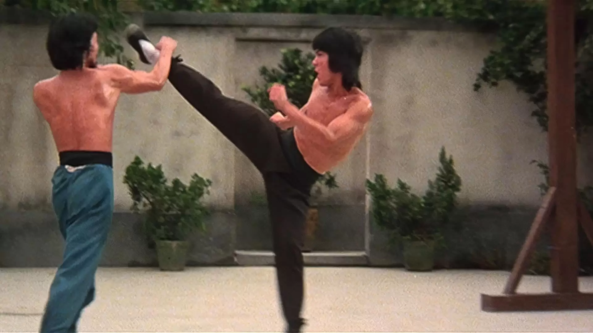 دانلود فیلم Za jia xiao zi 1979