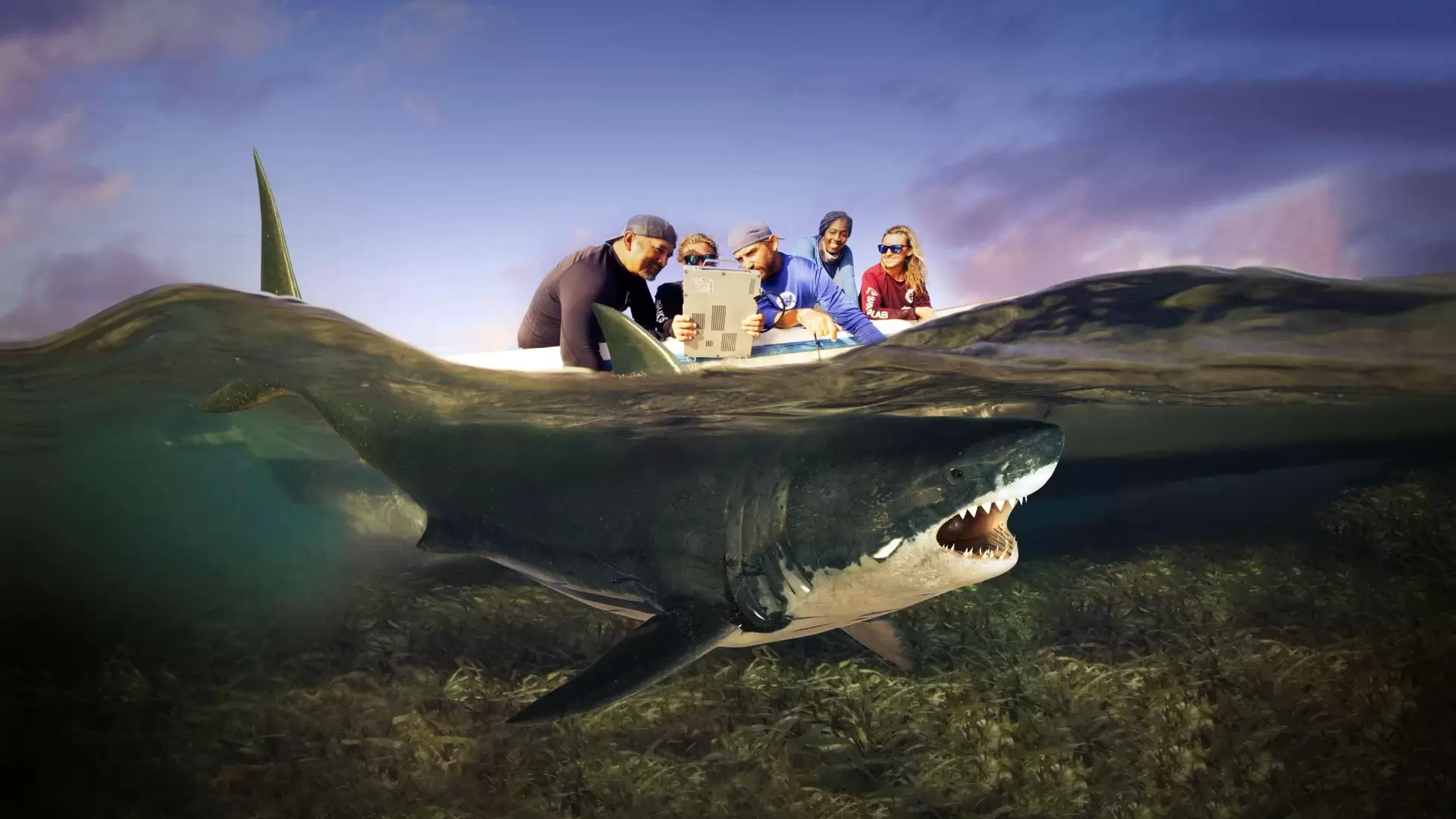 دانلود مستند Shark Attack Files 2021