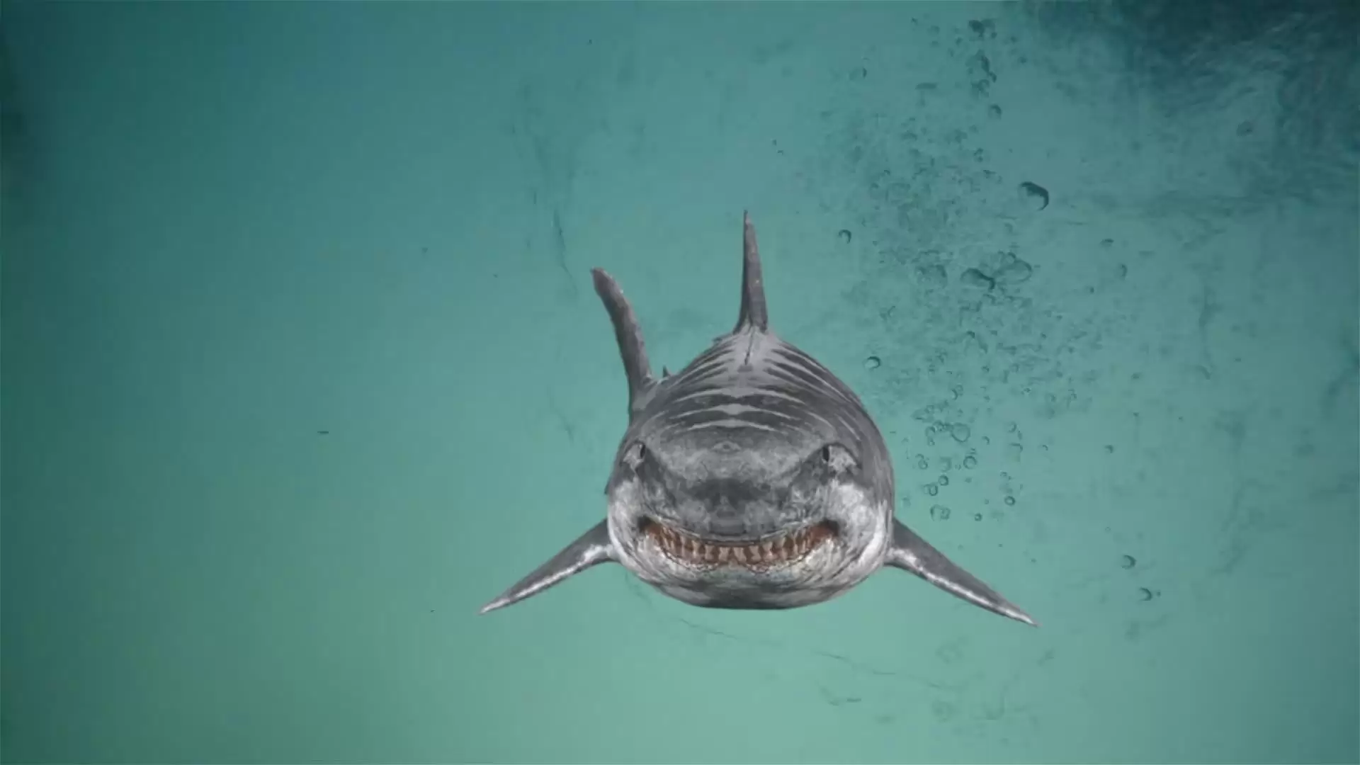 دانلود فیلم Jurassic Shark 2: Aquapocalypse 2021