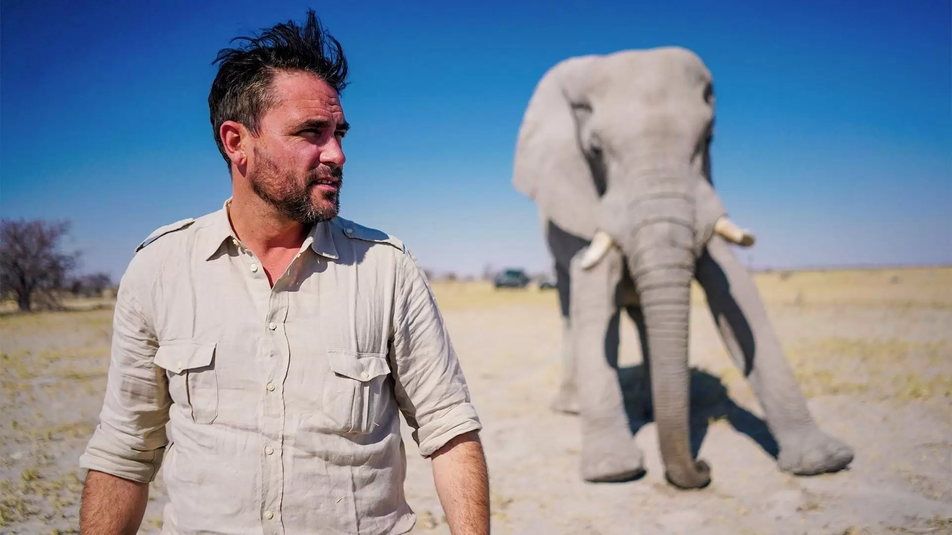 دانلود مستند Walking with Elephants 2020