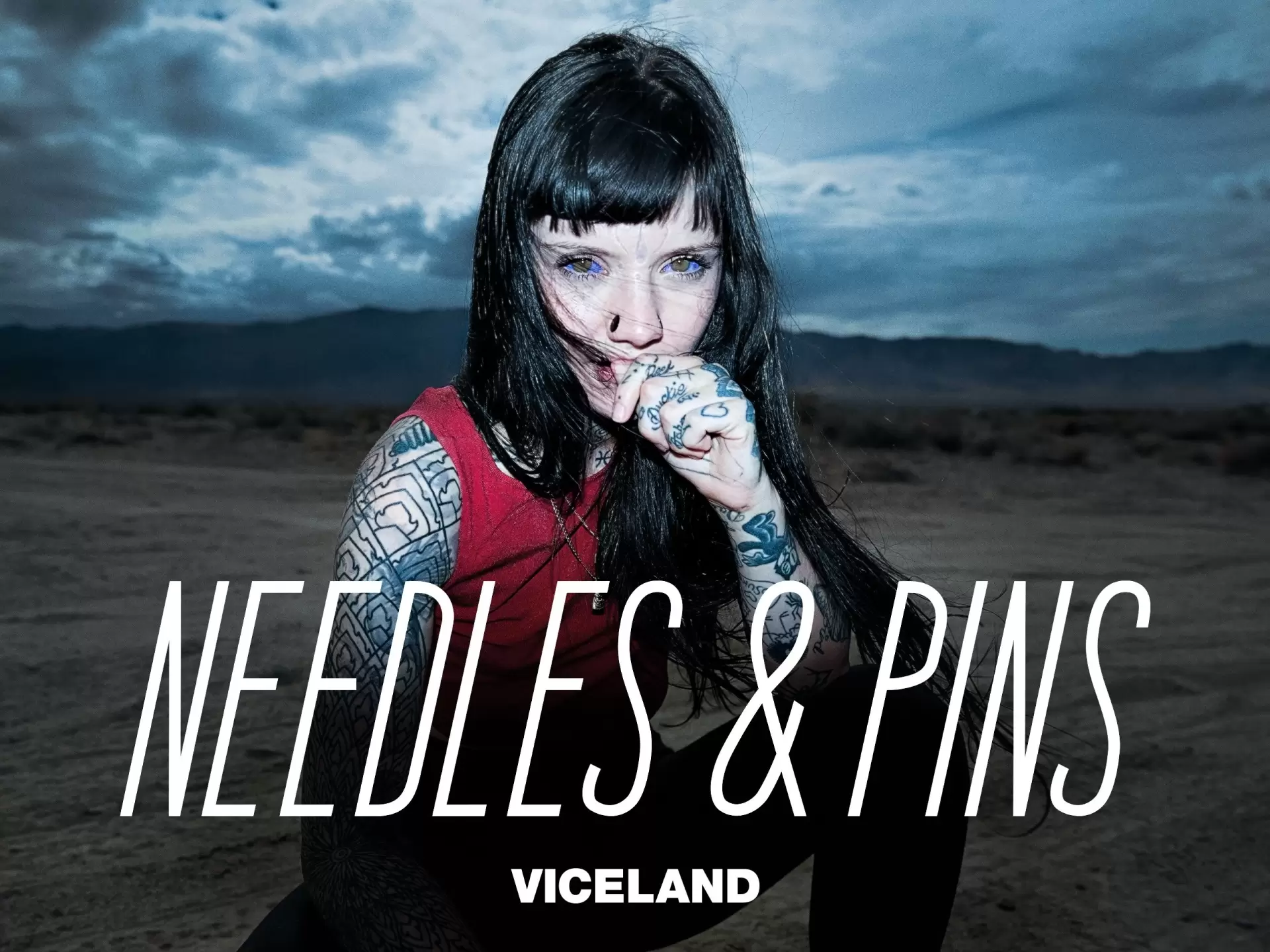 دانلود مستند Needles and Pins 2016