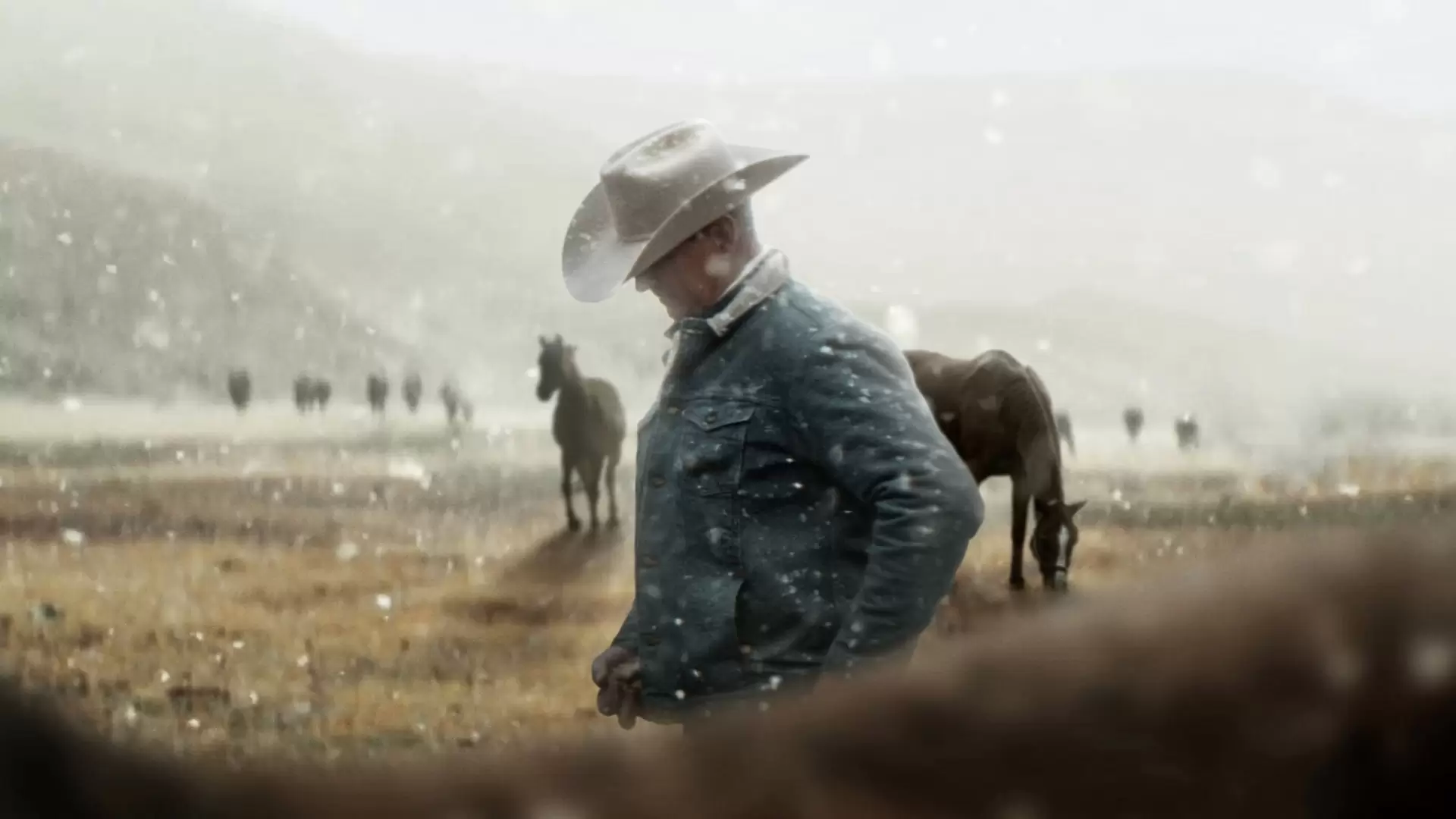 دانلود مستند My Heroes Were Cowboys 2021