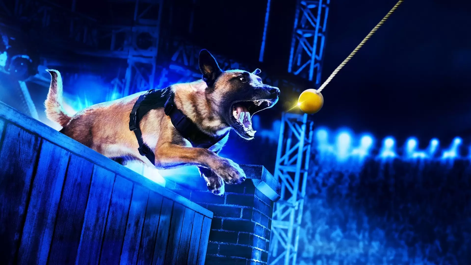دانلود سریال America’s Top Dog 2020