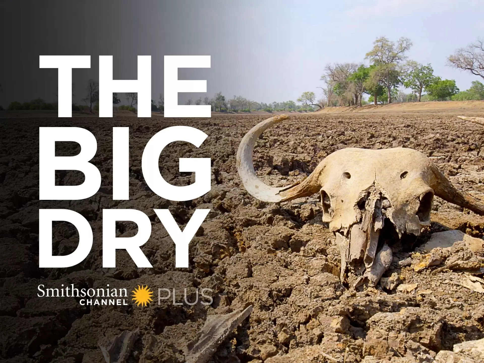 دانلود مستند The Big Dry 2016