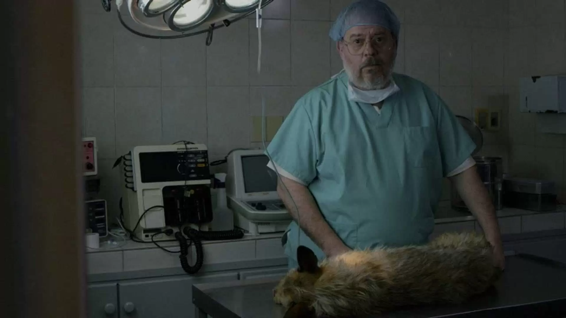 دانلود فیلم A Dog’s Death 2019