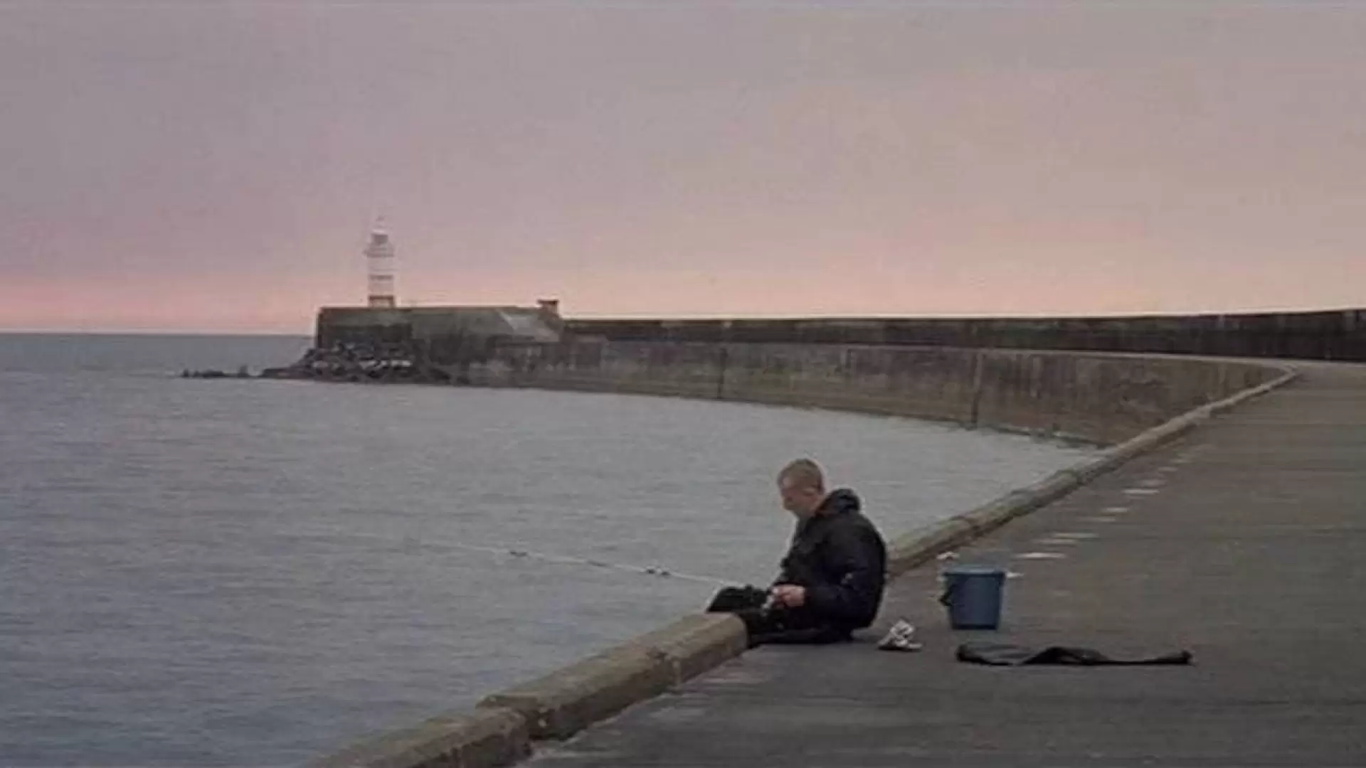 دانلود فیلم The Great Ecstasy of Robert Carmichael 2005 با زیرنویس فارسی