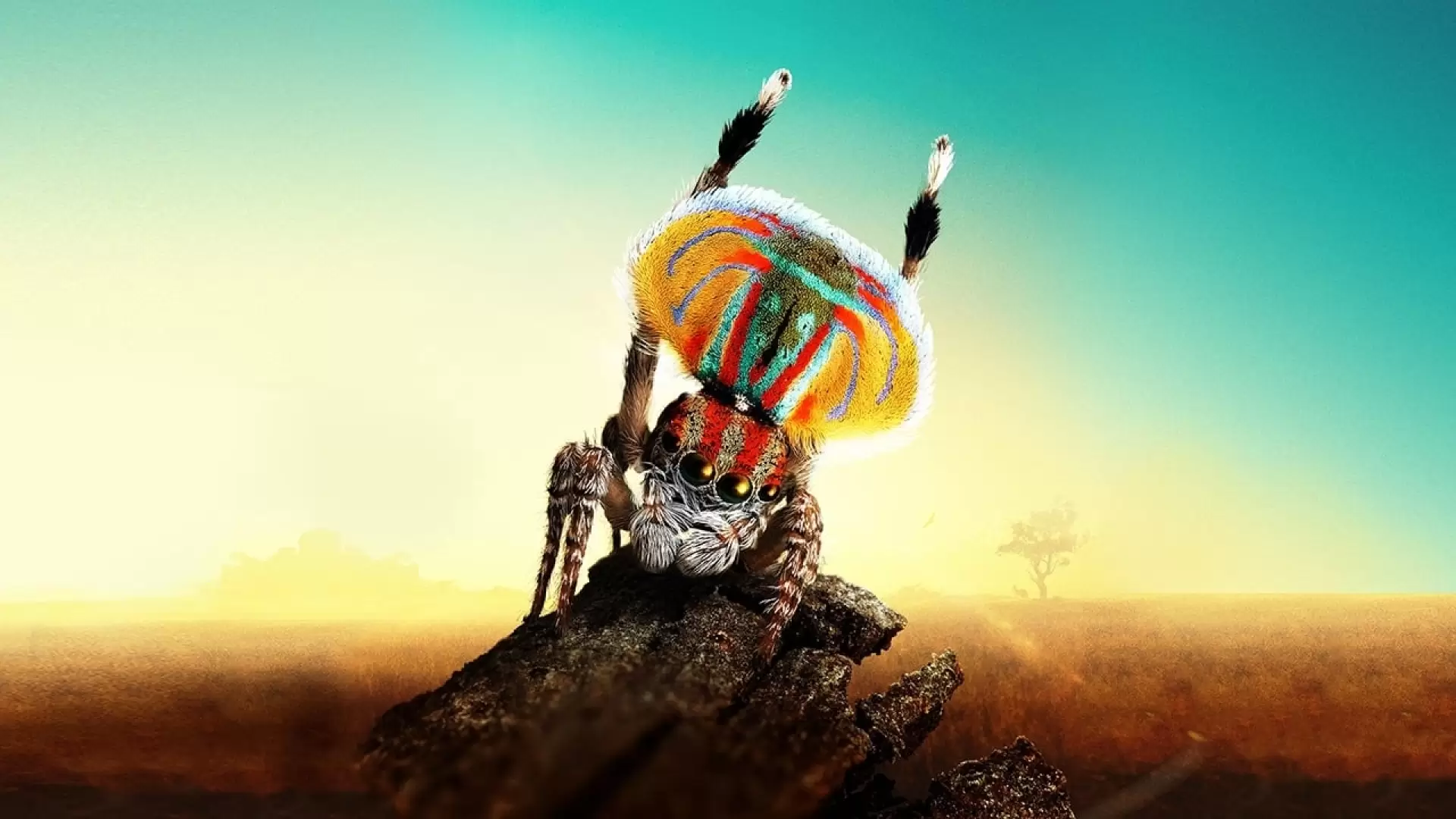 دانلود مستند Magical Land of Oz 2019
