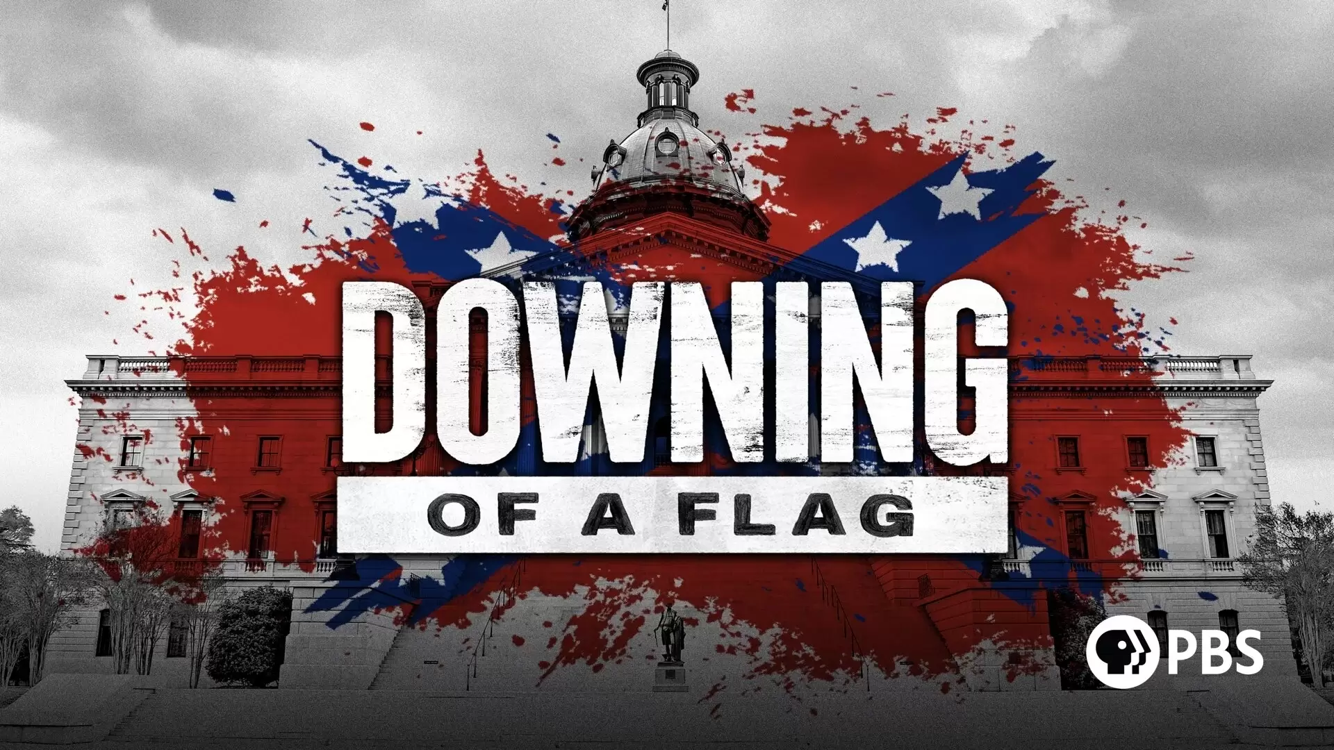 دانلود مستند Downing of a Flag 2021
