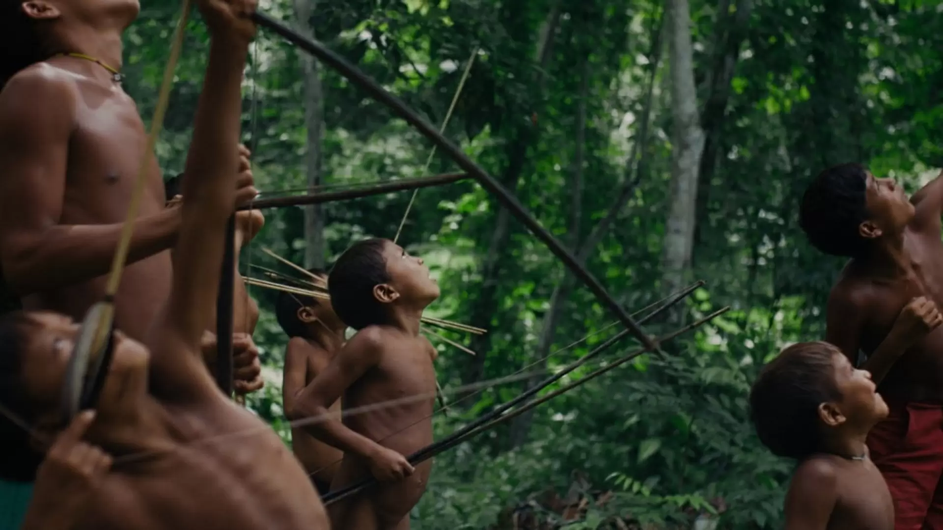 دانلود مستند The Last Forest 2021