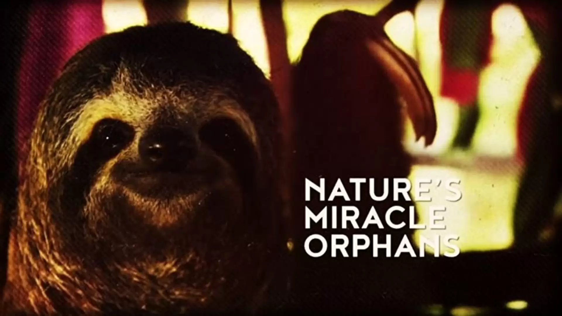 دانلود مستند Nature’s Miracle Orphans 2014