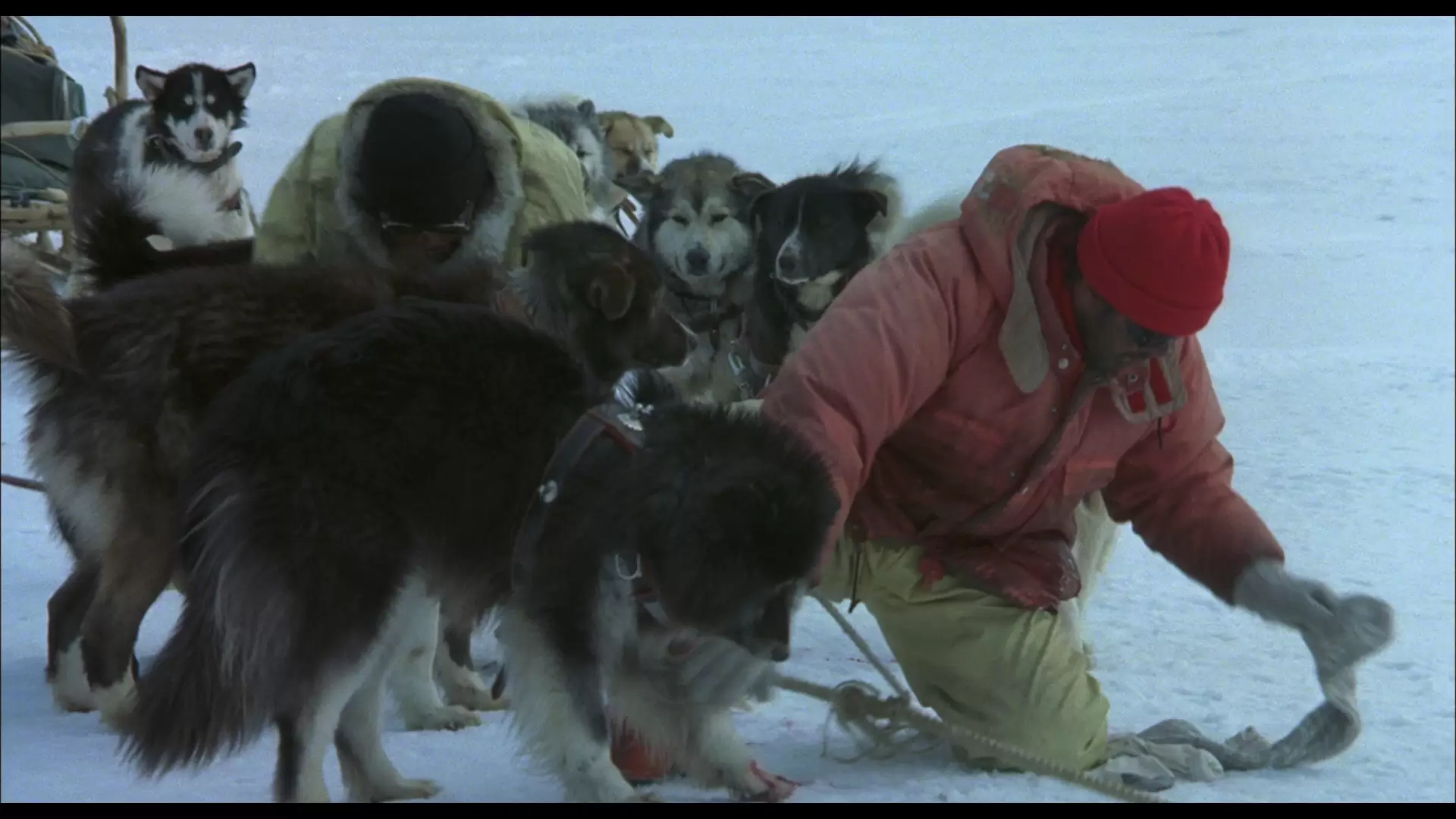 دانلود فیلم Antarctica 1983