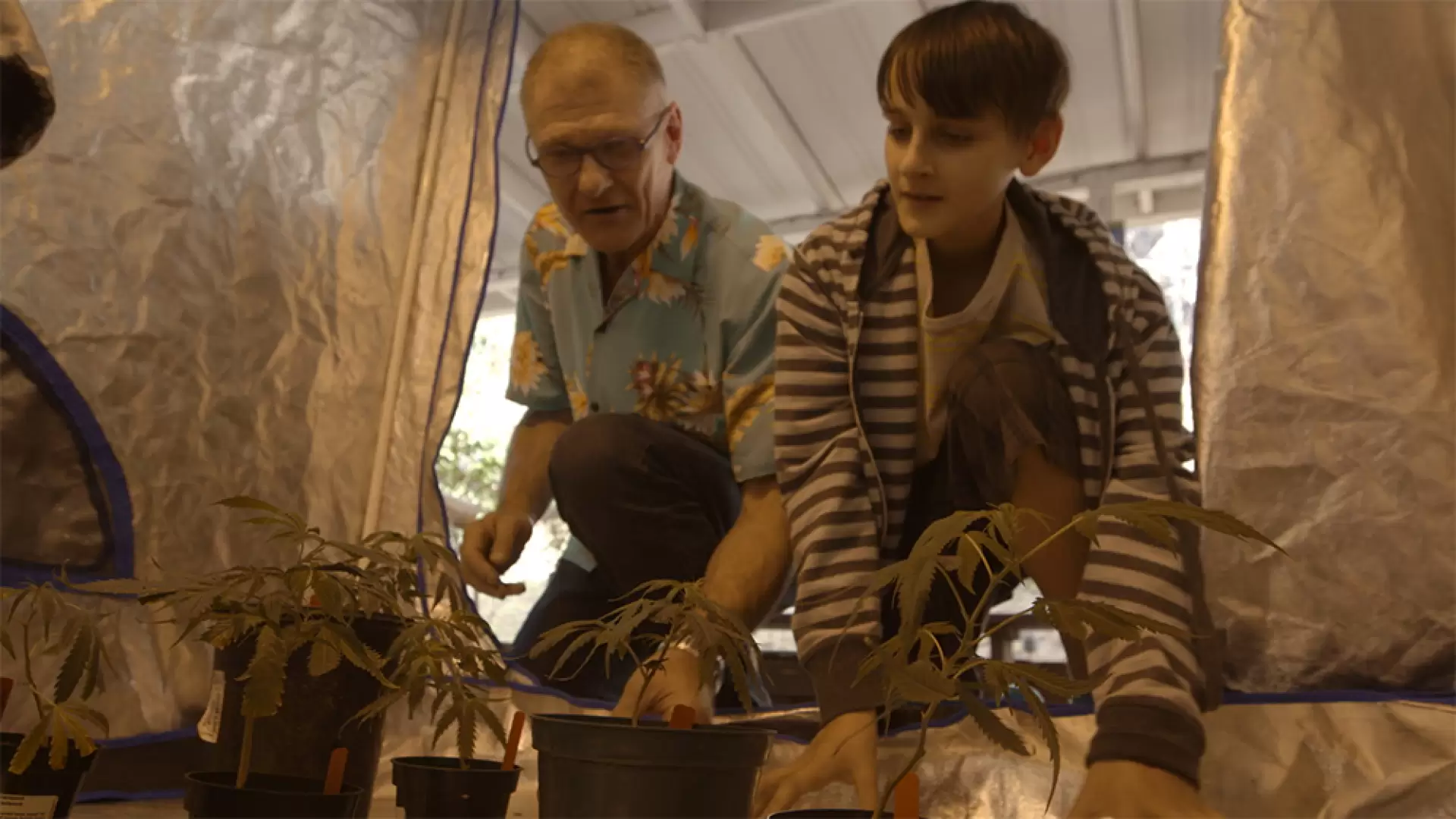 دانلود مستند Weed the People 2018