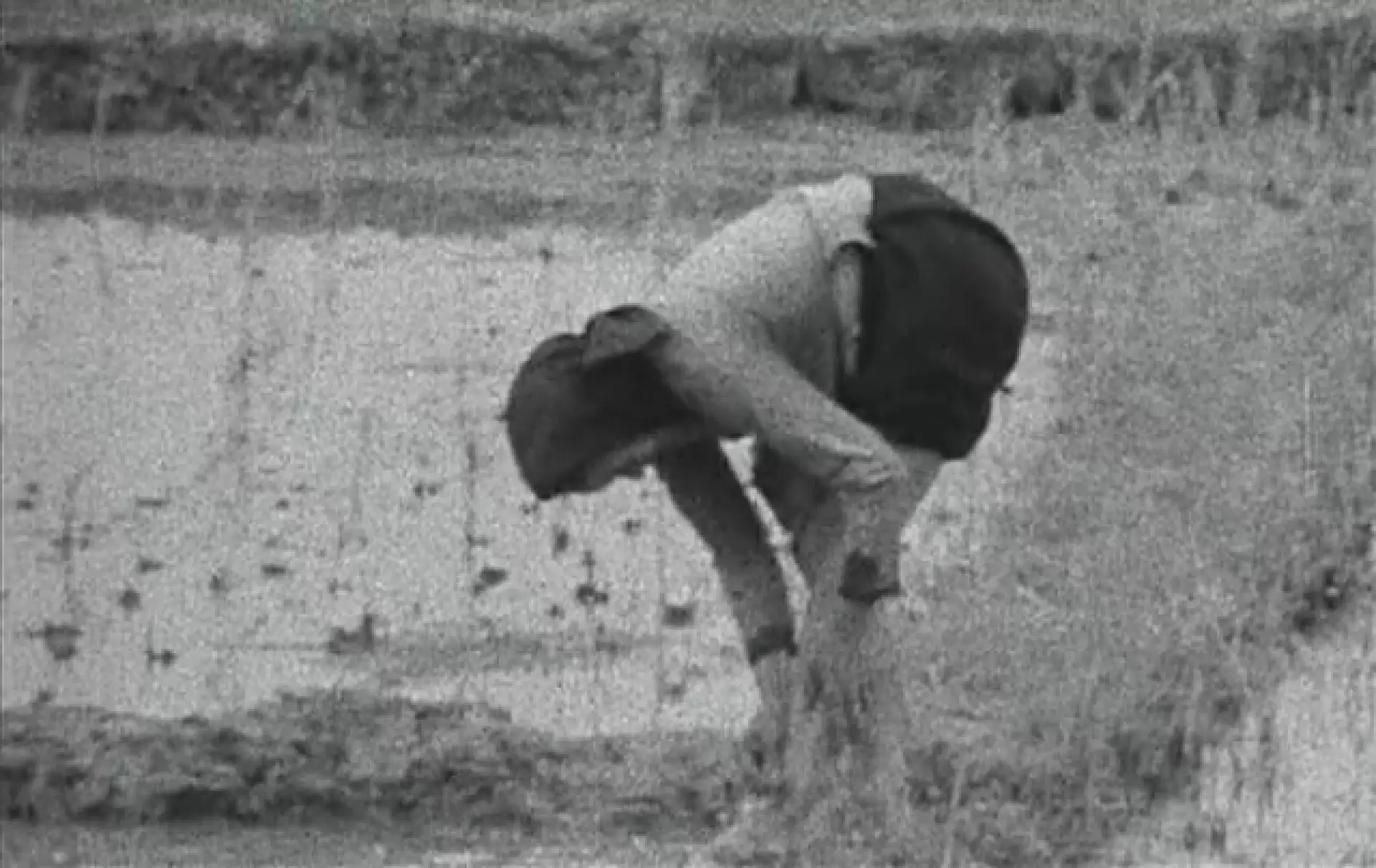 دانلود مستند Hanoi, martes 13 1968 با زیرنویس فارسی