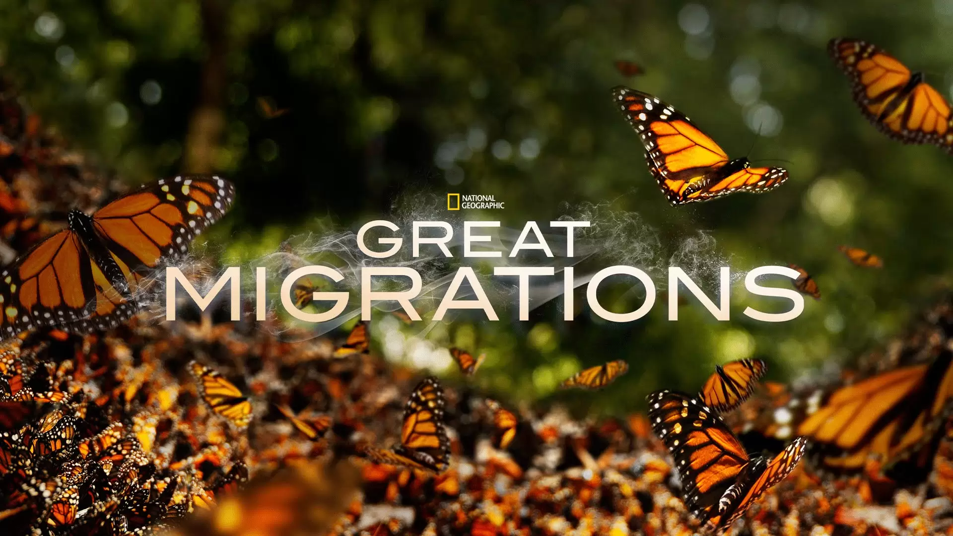 دانلود مستند Great Migrations 2010 با زیرنویس فارسی