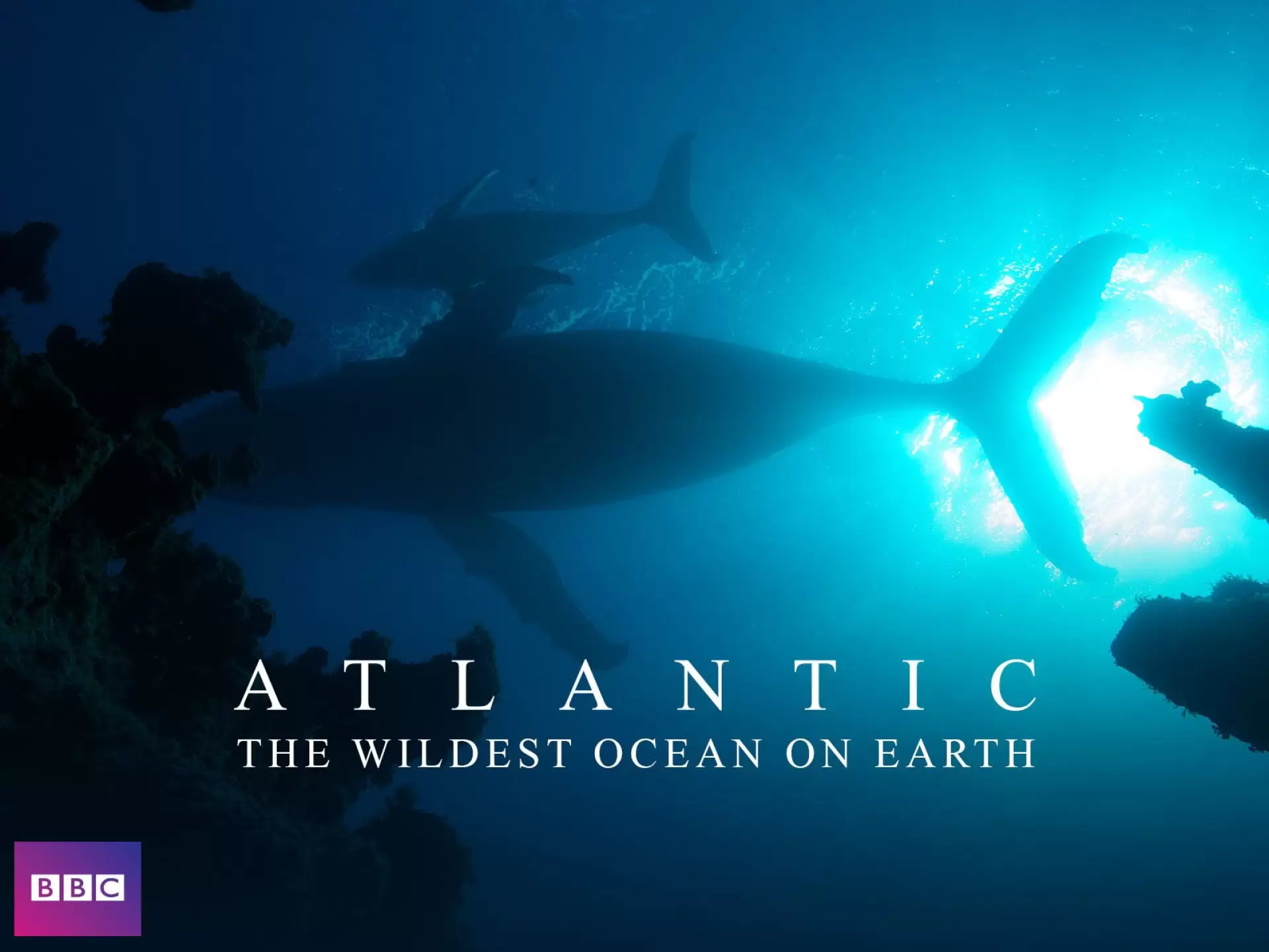 دانلود مستند Atlantic: The Wildest Ocean on Earth 2015