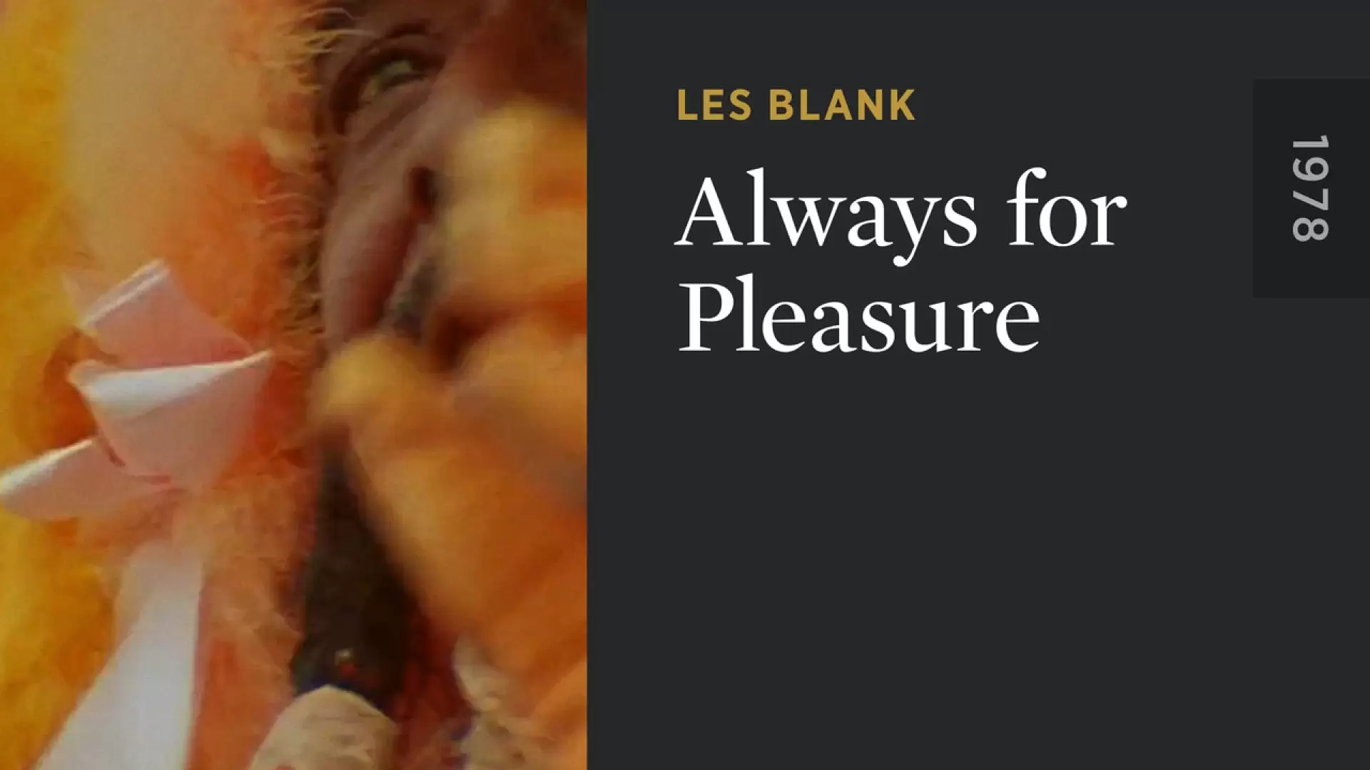 دانلود مستند Always for Pleasure 1978