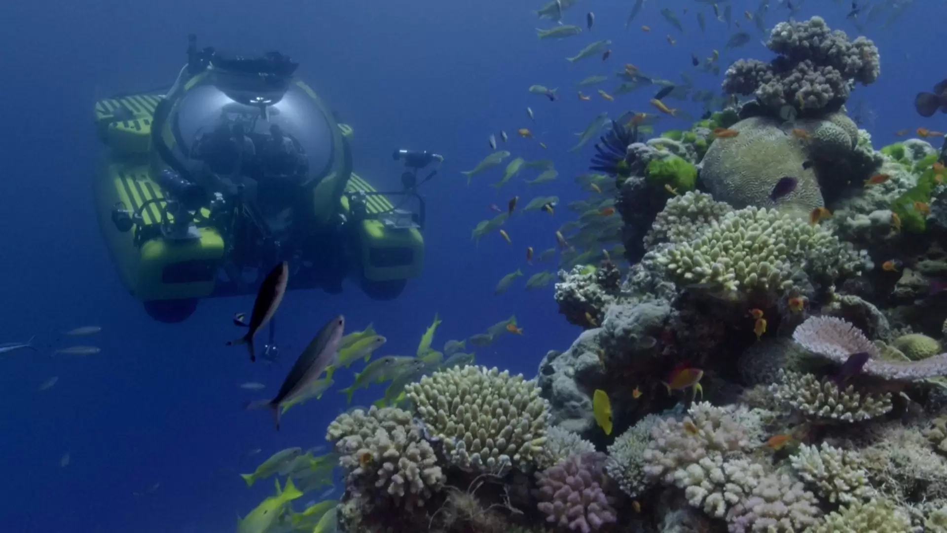 دانلود مستند Great Barrier Reef with David Attenborough 2015