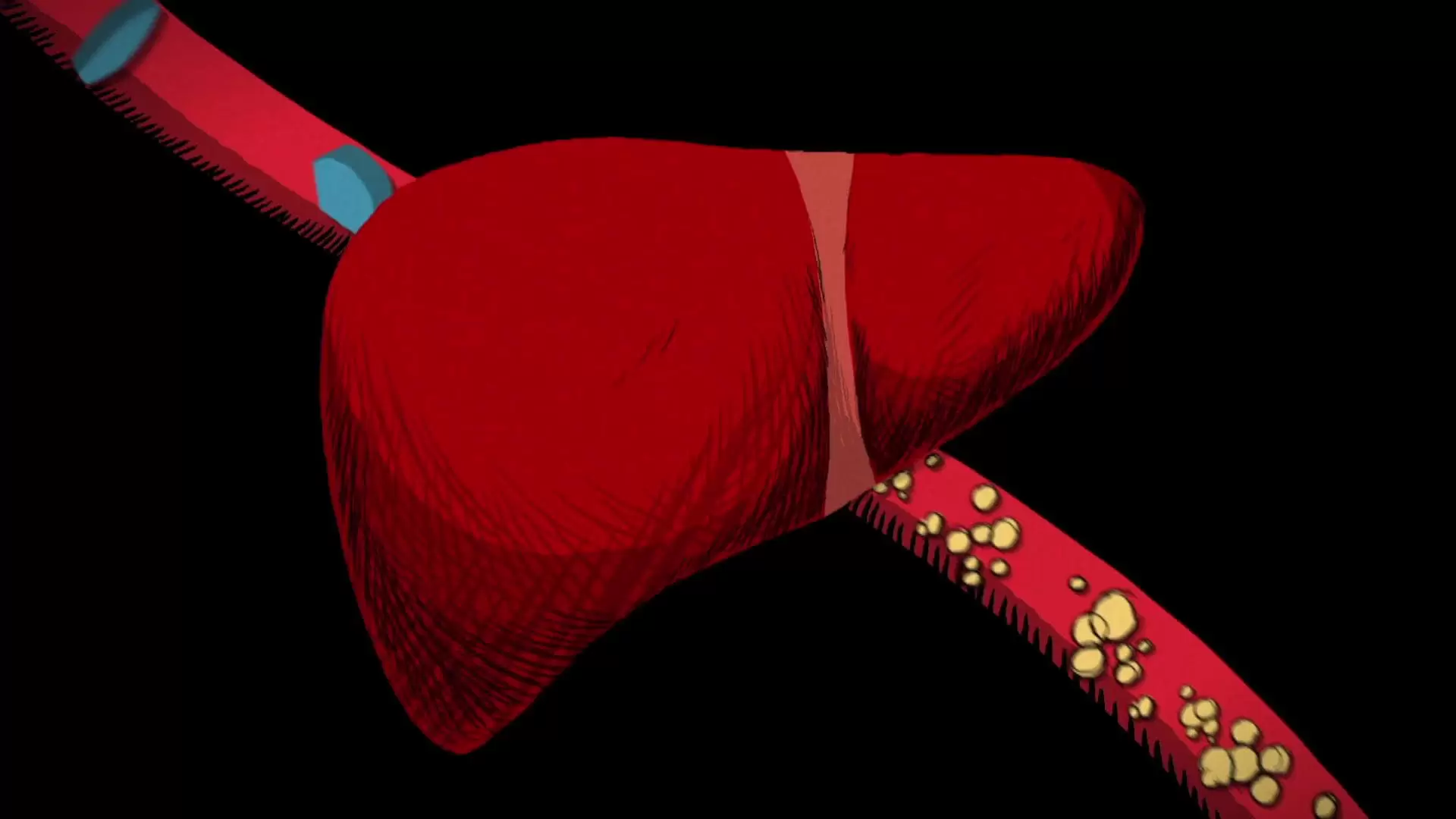 دانلود مستند The Cholesterol Question 2014