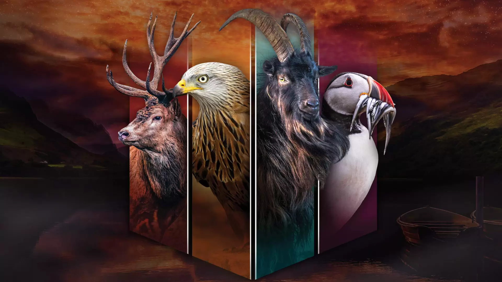 دانلود مستند Wales: Land of the Wild 2019