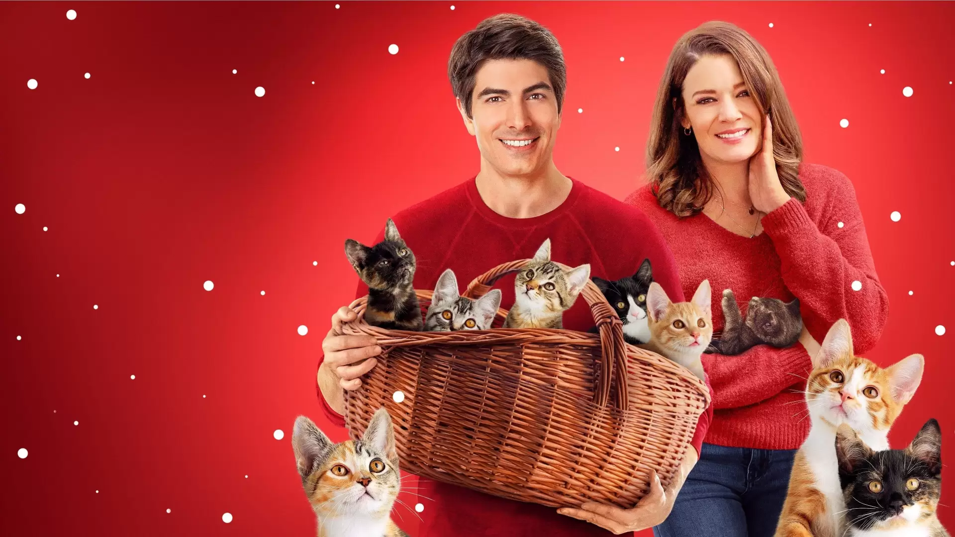 دانلود فیلم The Nine Kittens of Christmas 2021
